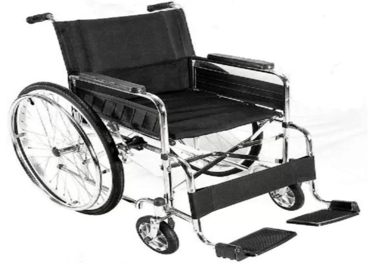 Facility for disabled guests in Le Petit Palace Hotel - Special Category