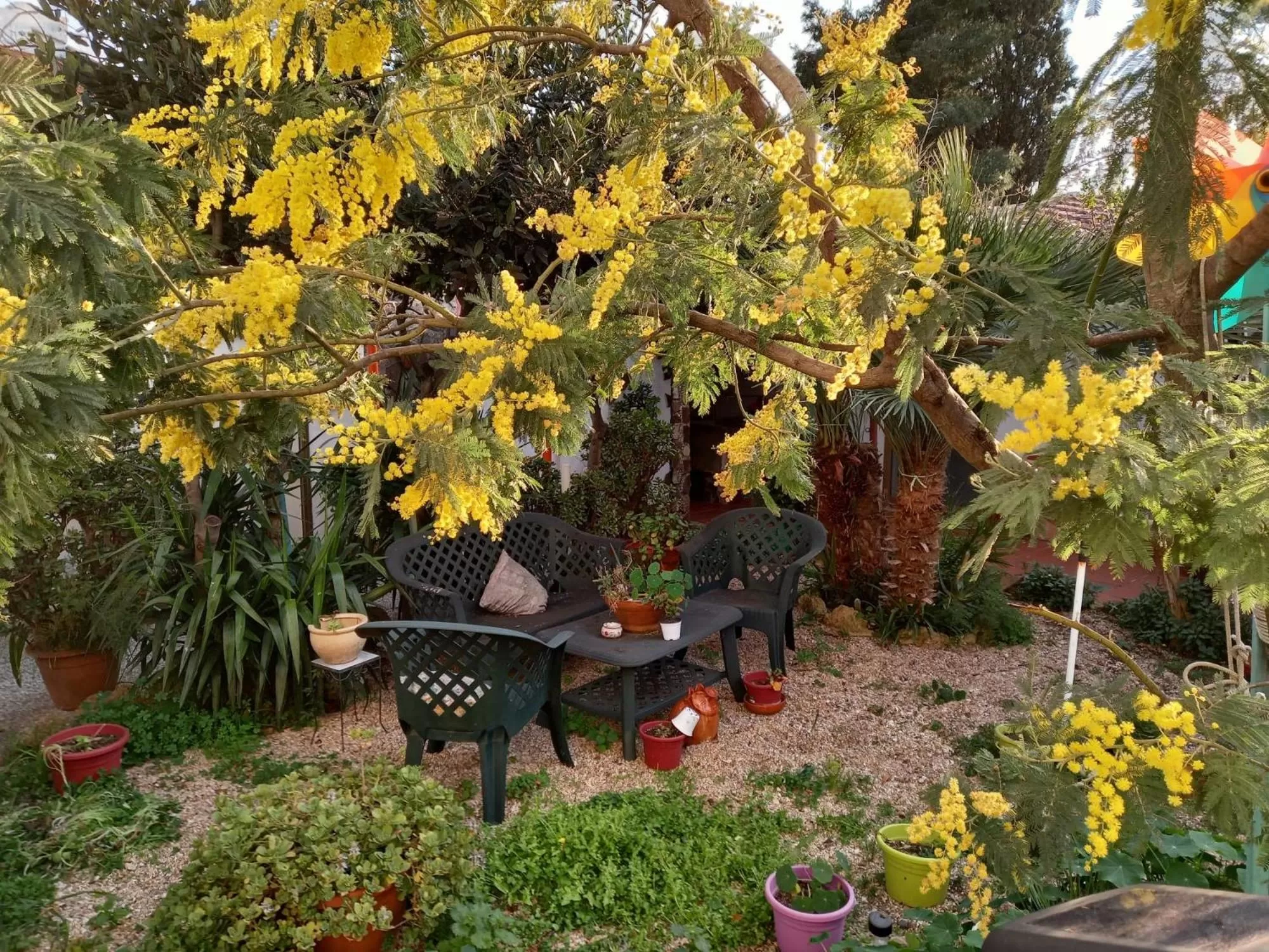 Garden in Bed & Breakfast Paui