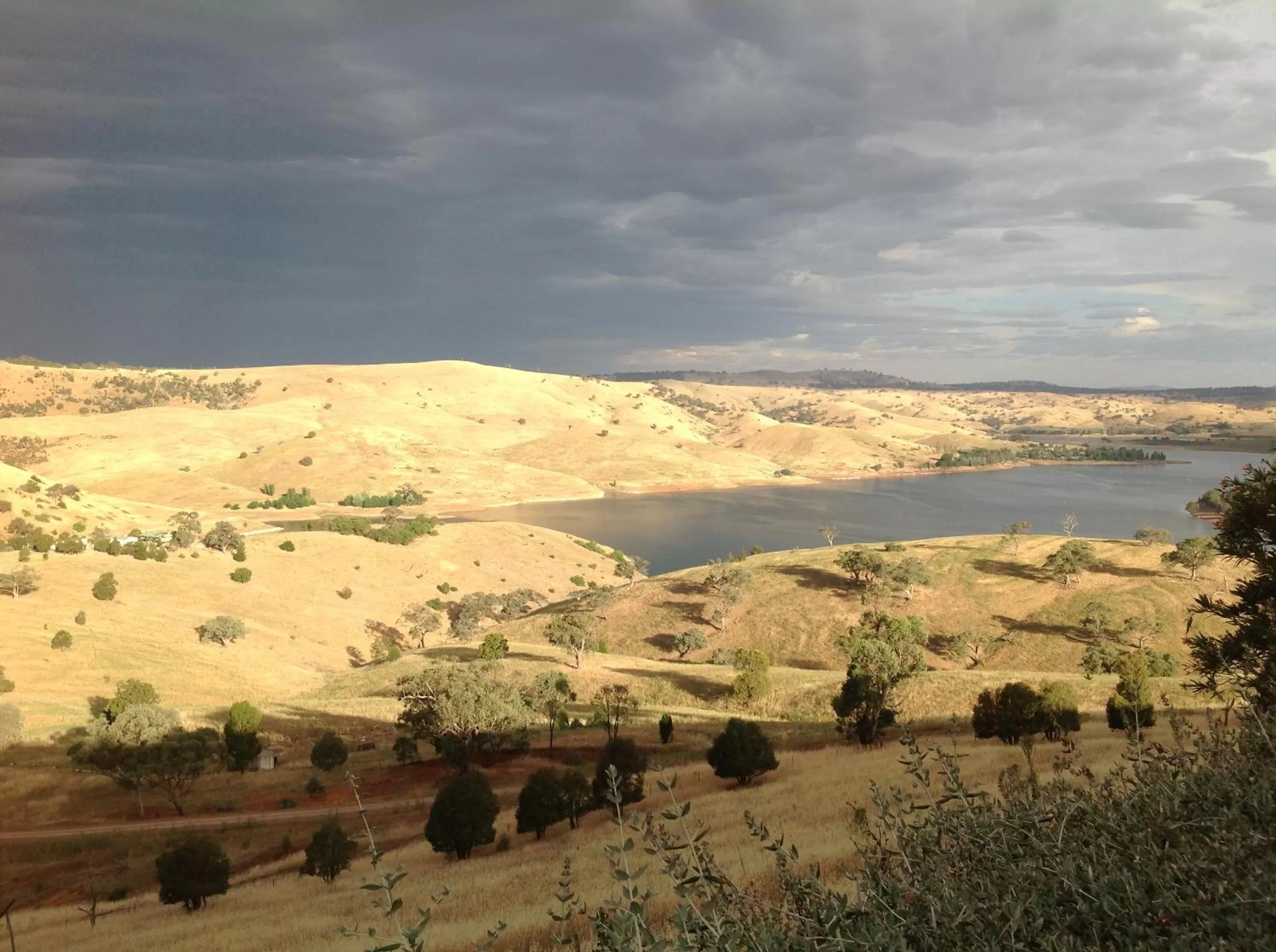 Amazing Views Pet Friendly Bed and Breakfast