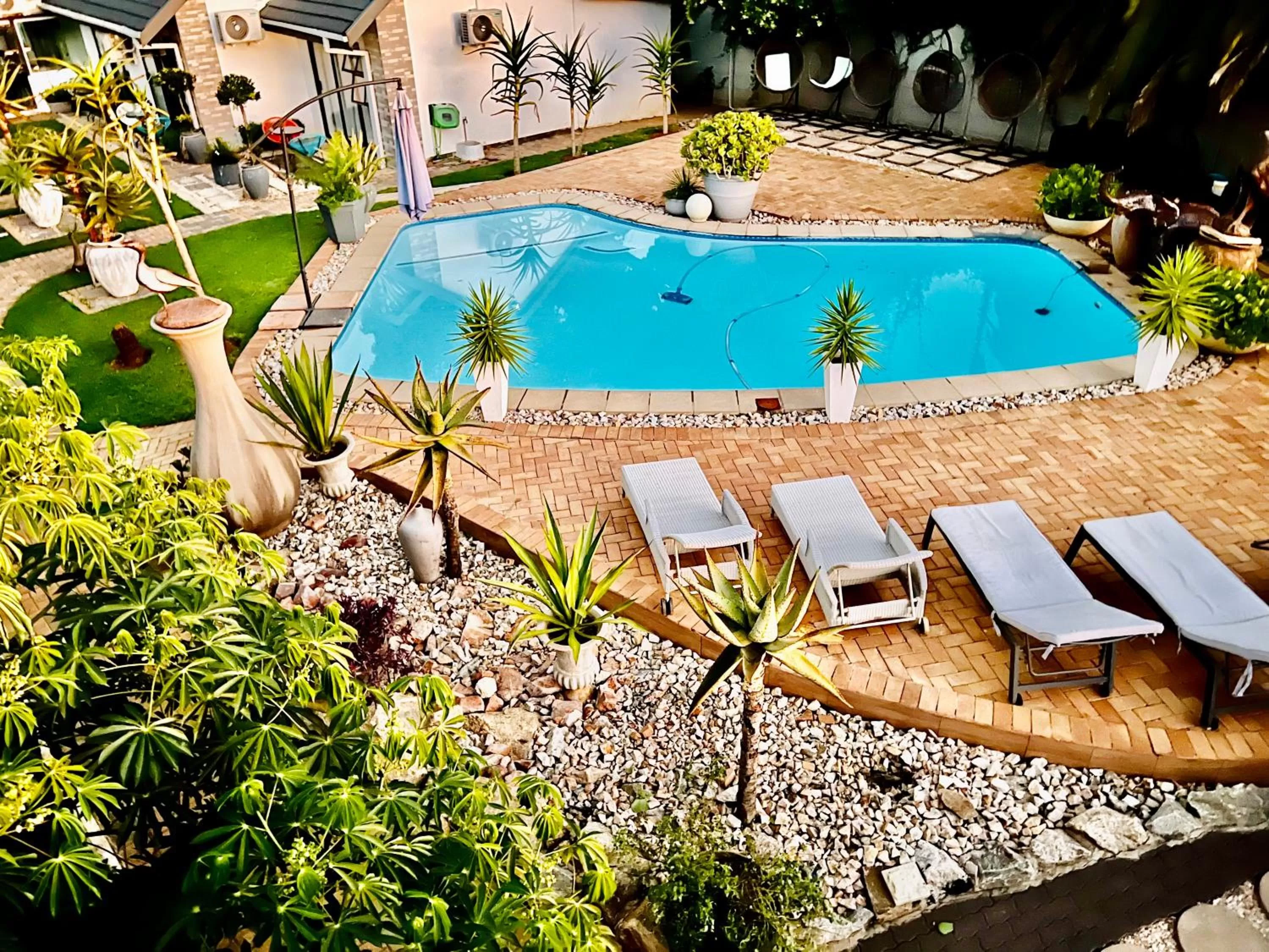 Garden, Swimming Pool in 24 On Basil Inventive suites