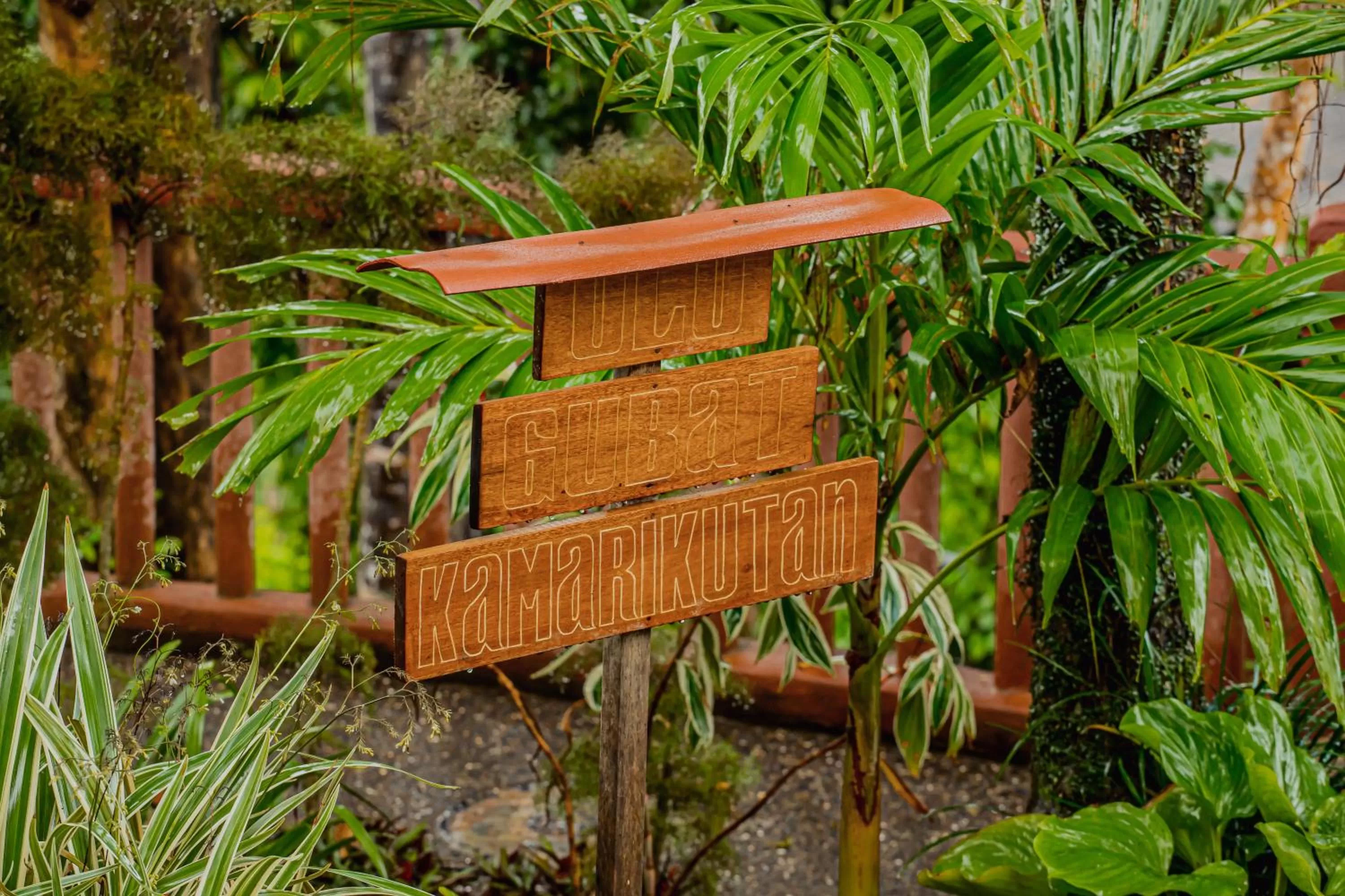 Day in Atremaru Jungle Retreat