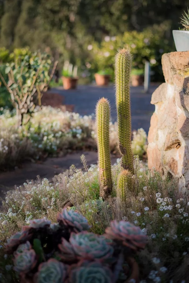 Rosewood Park Guest Suite
