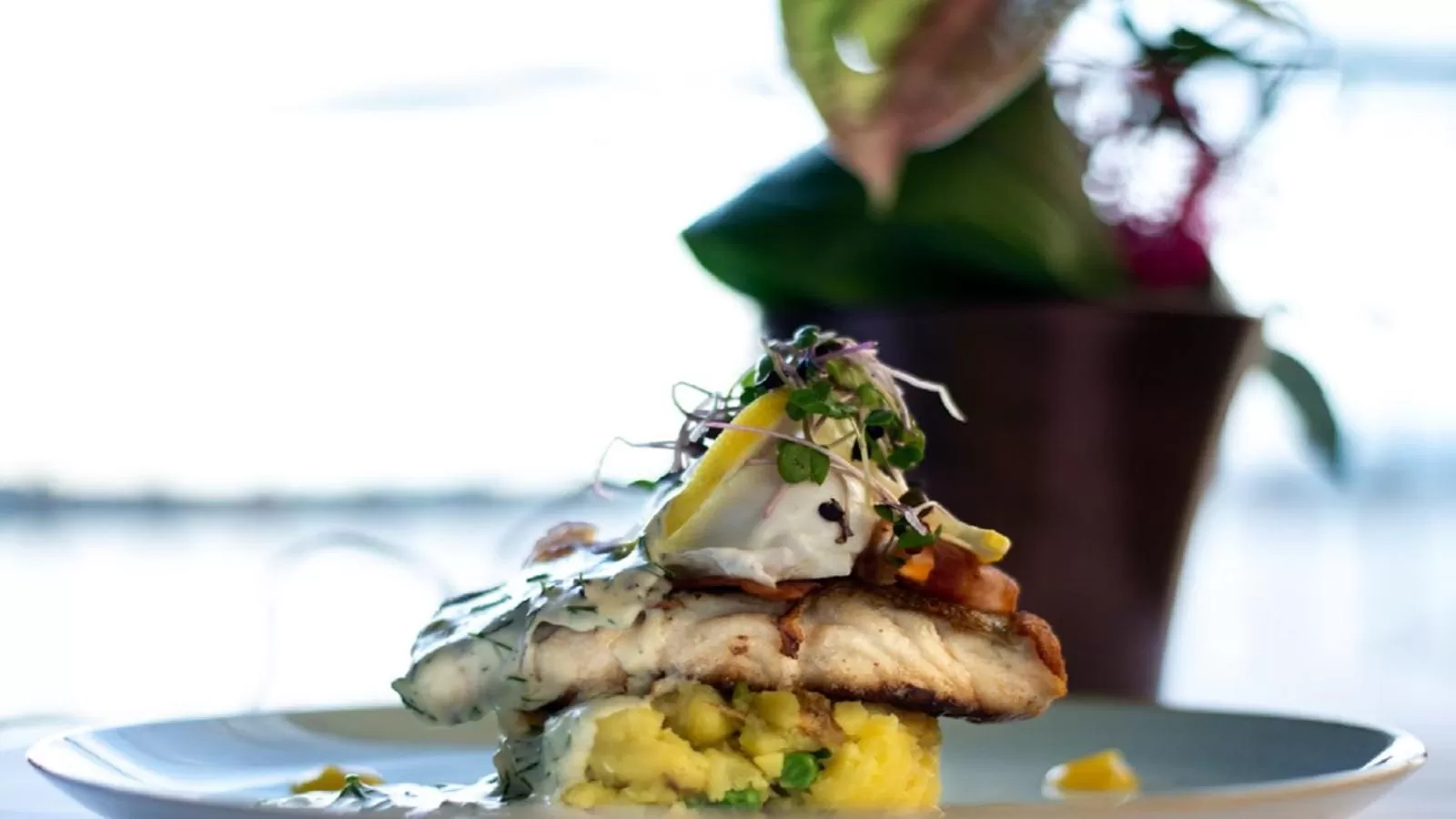 Food and drinks in Riverbank House Hotel