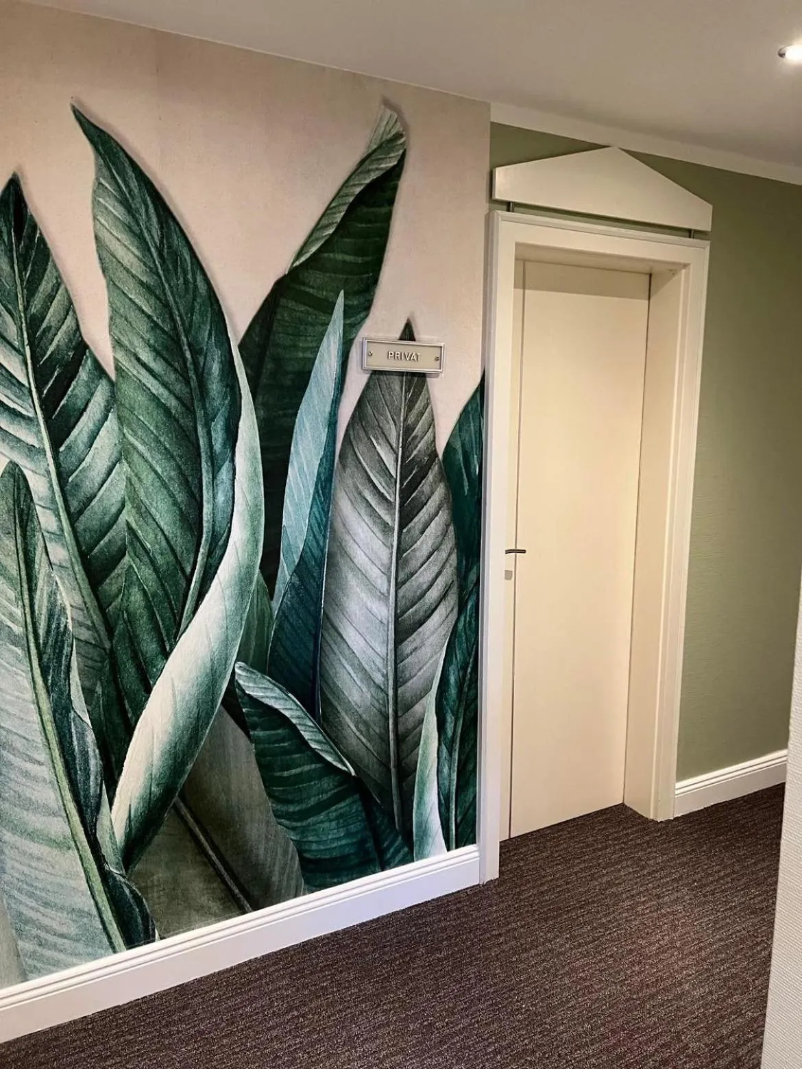 Photo of the whole room in Hotel-Restaurant Amadeus