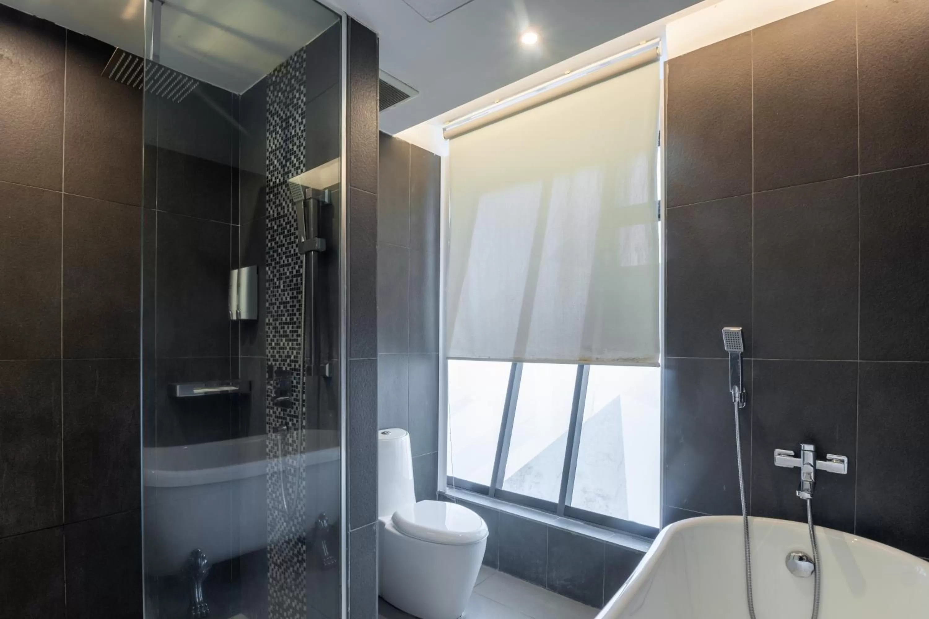 Shower in Apple Hotel Times Square