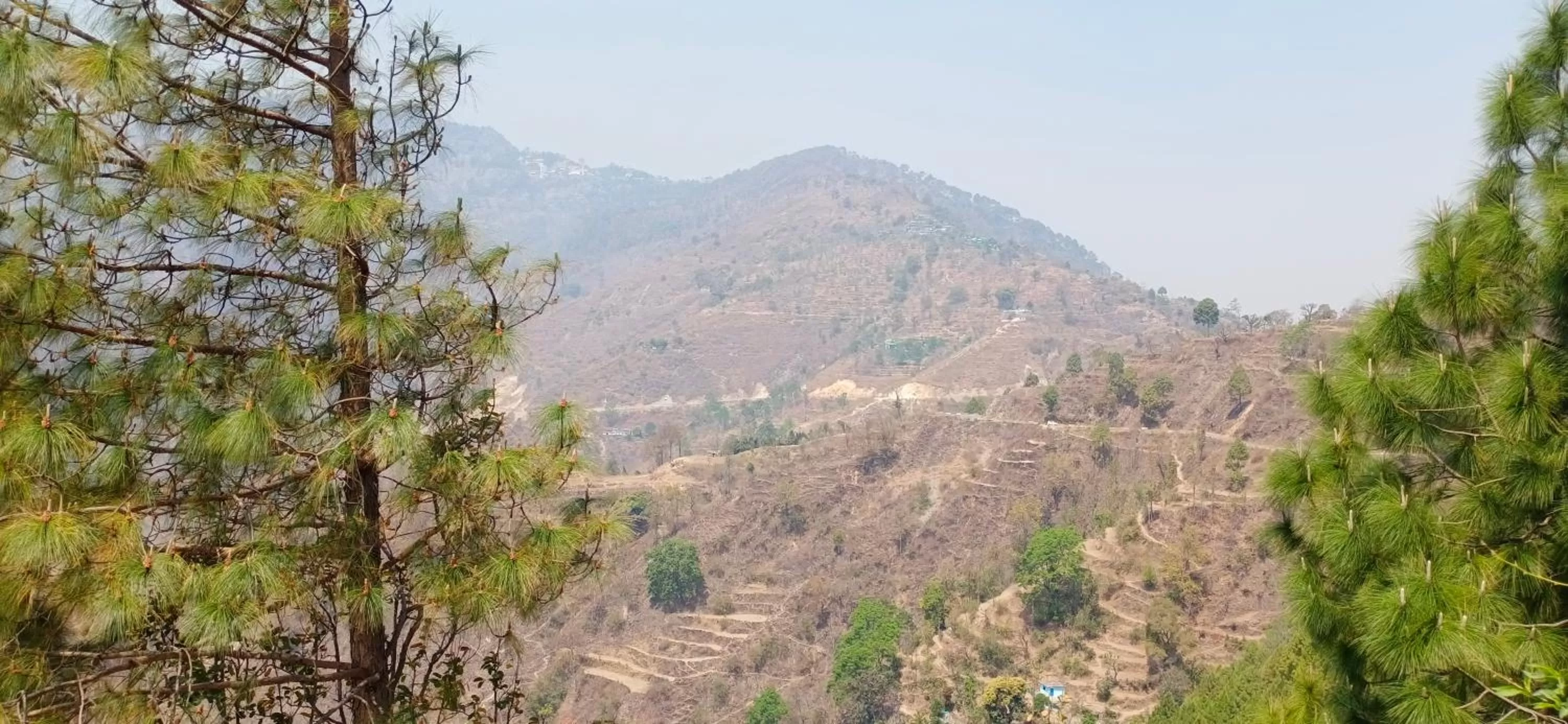 Sea view in Blue Pine Orchards