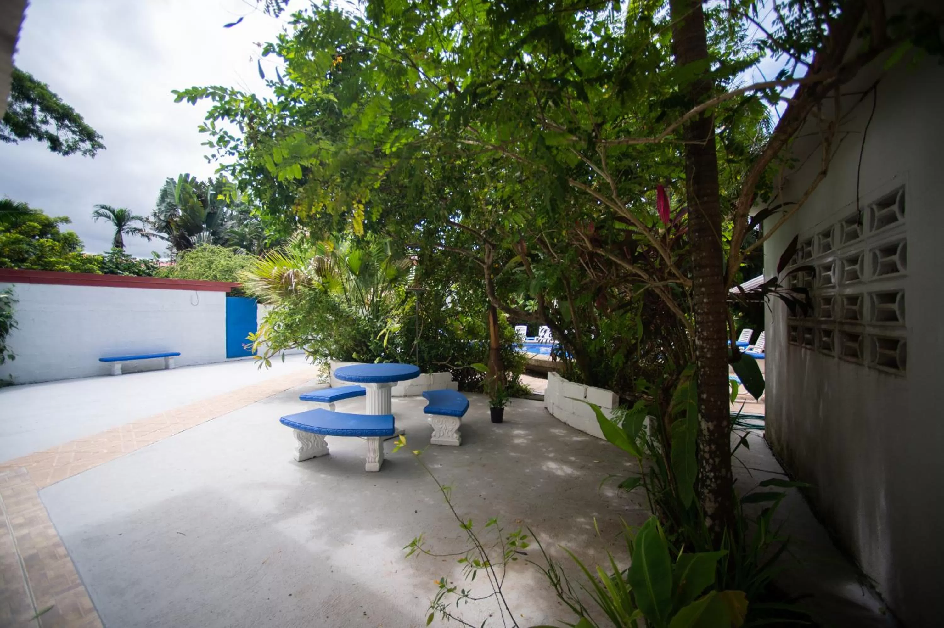 Garden view in La Perlita