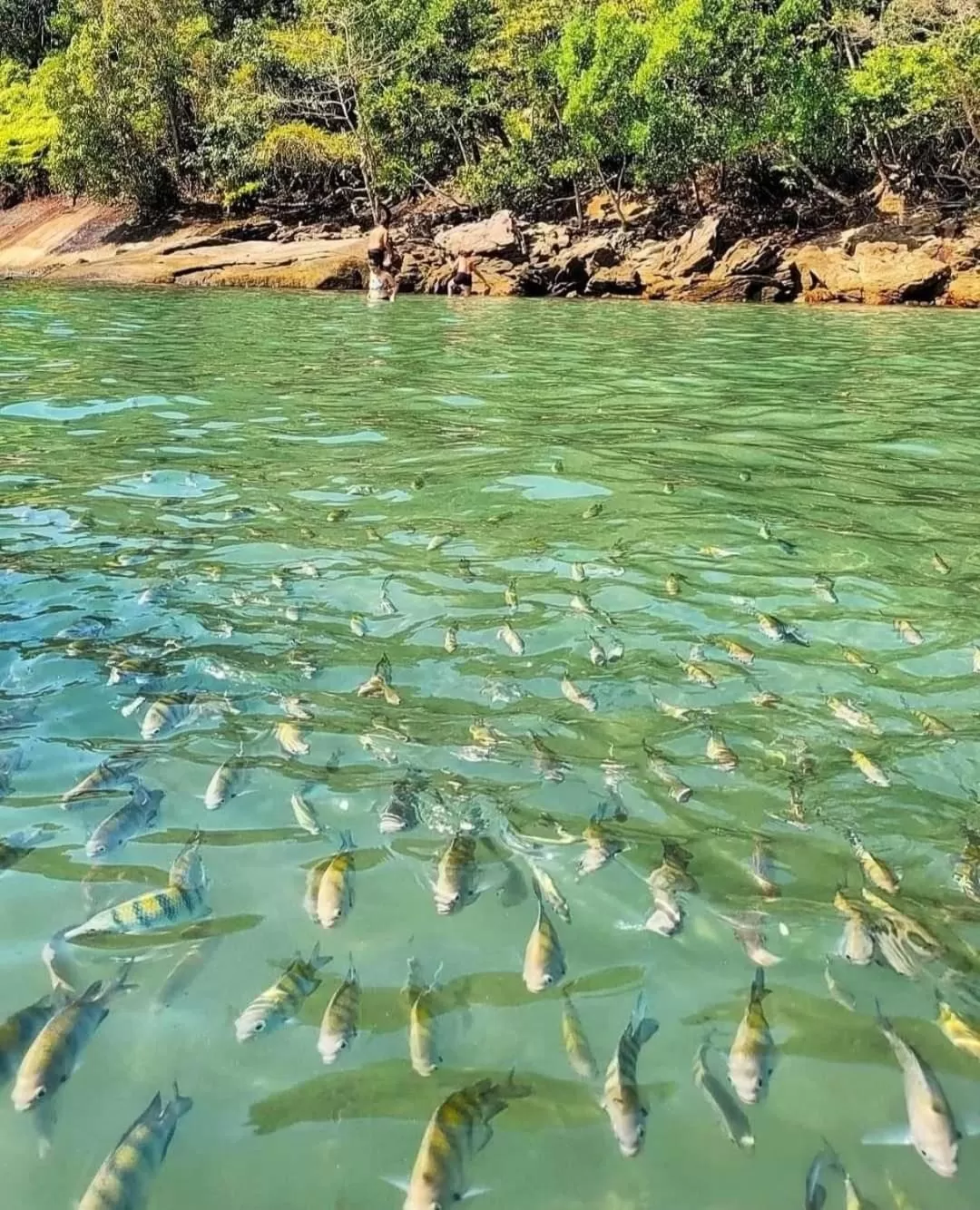 Pousada Recanto Som do Mar