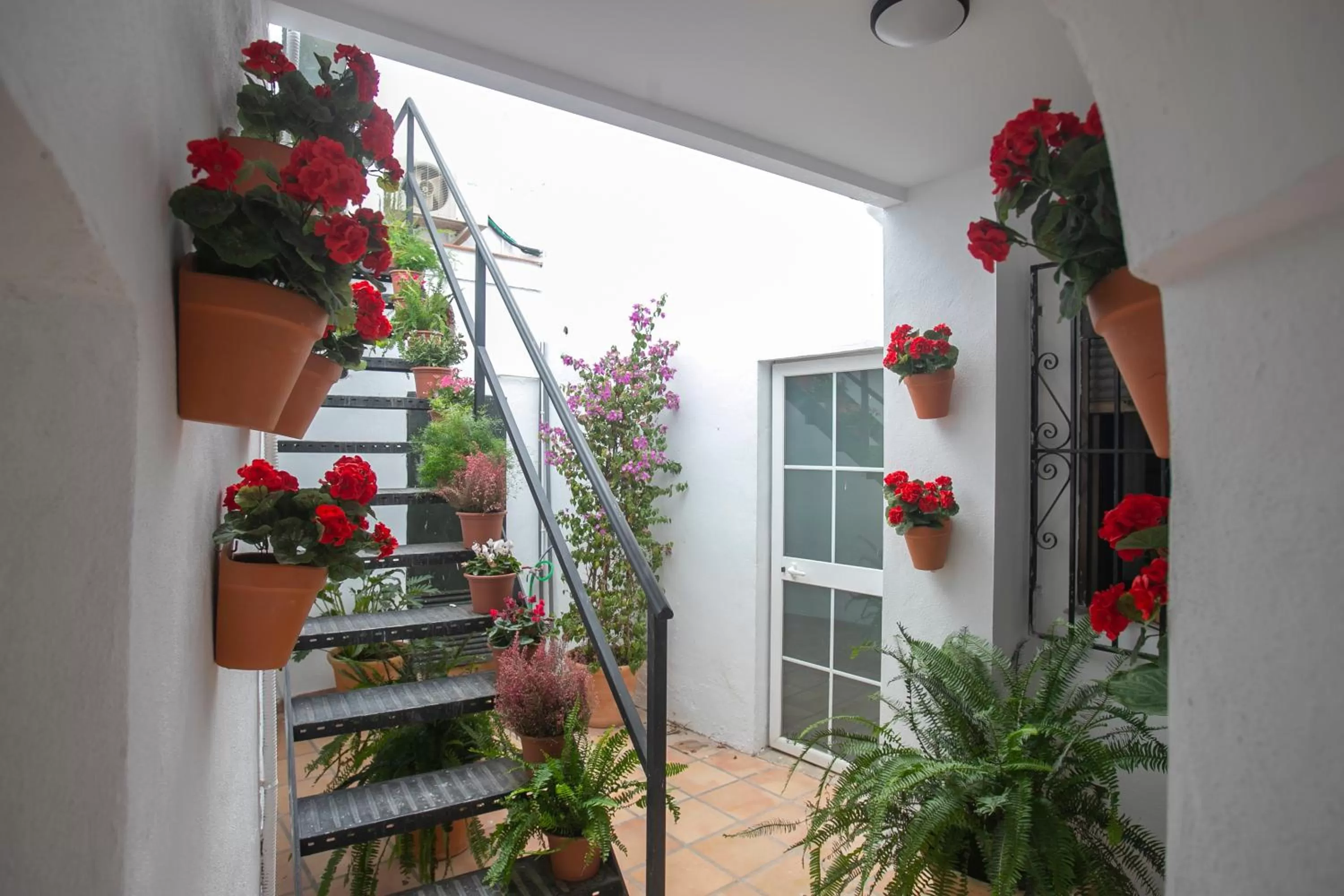 Patio in Vitium Córdoba