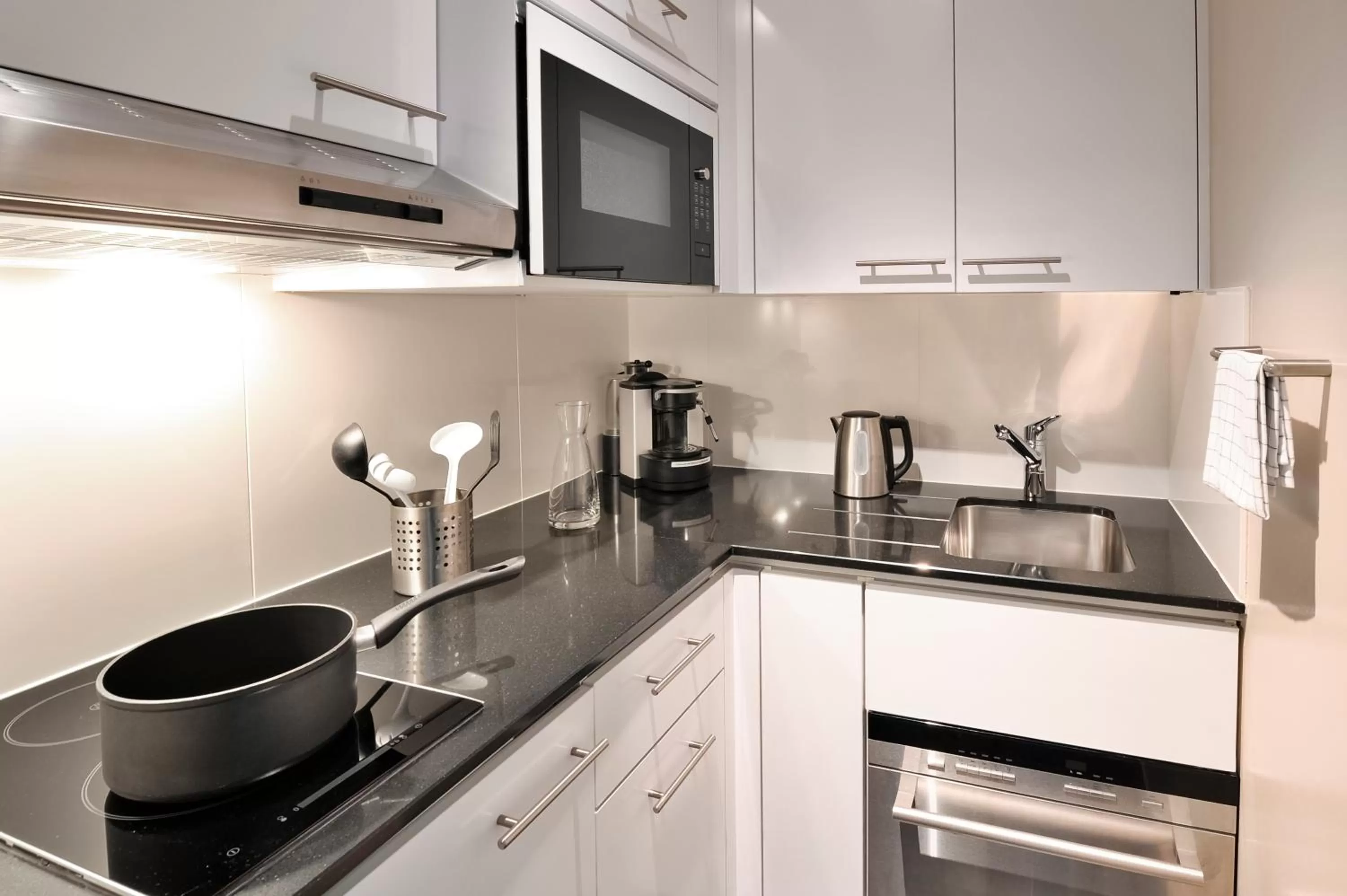 Kitchen or kitchenette in Aparthotel Adagio Genève Mont-Blanc