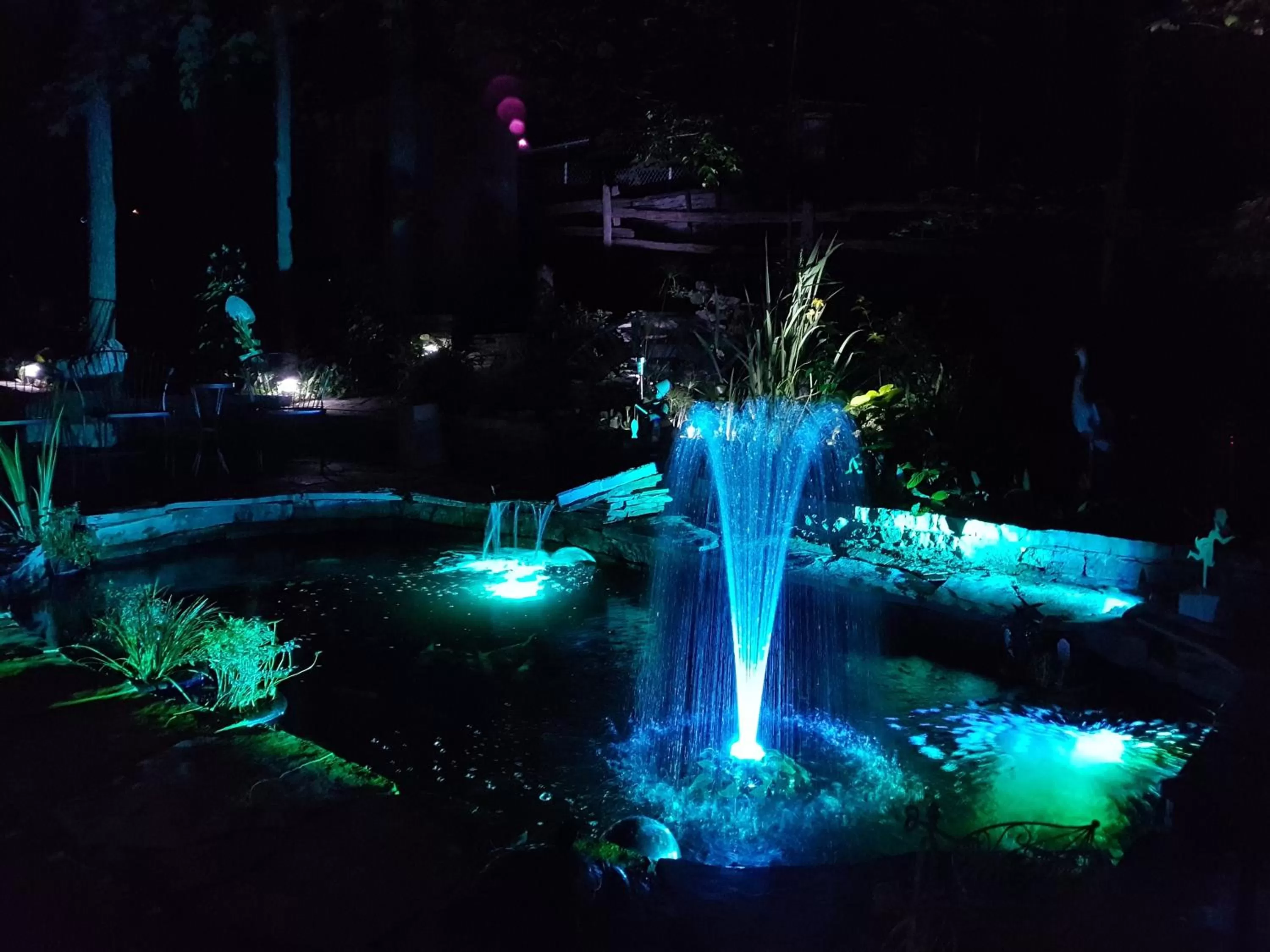 Garden in Forest Hill Bed and Breakfast