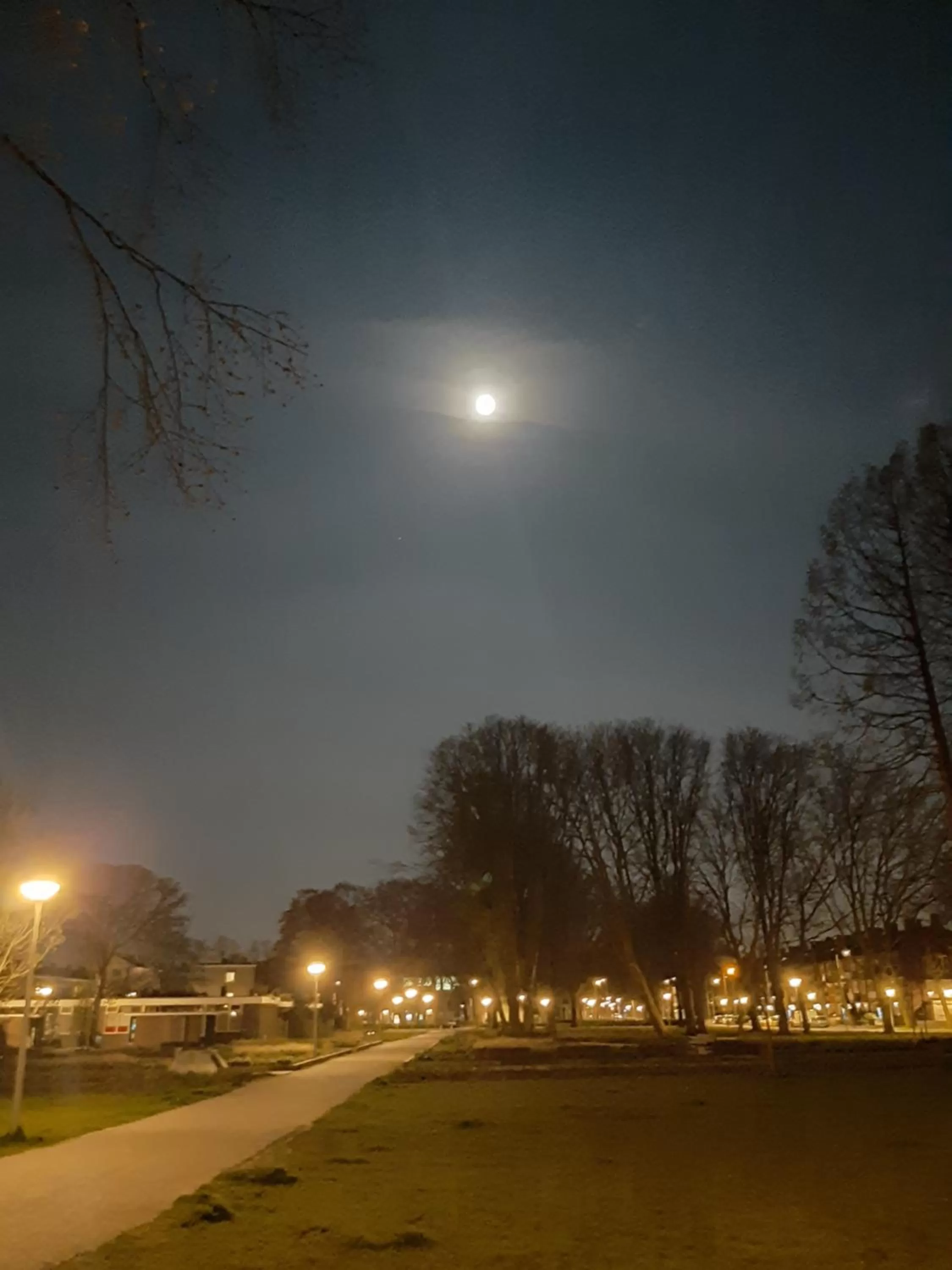 Night in Mi BnB Amsterdam