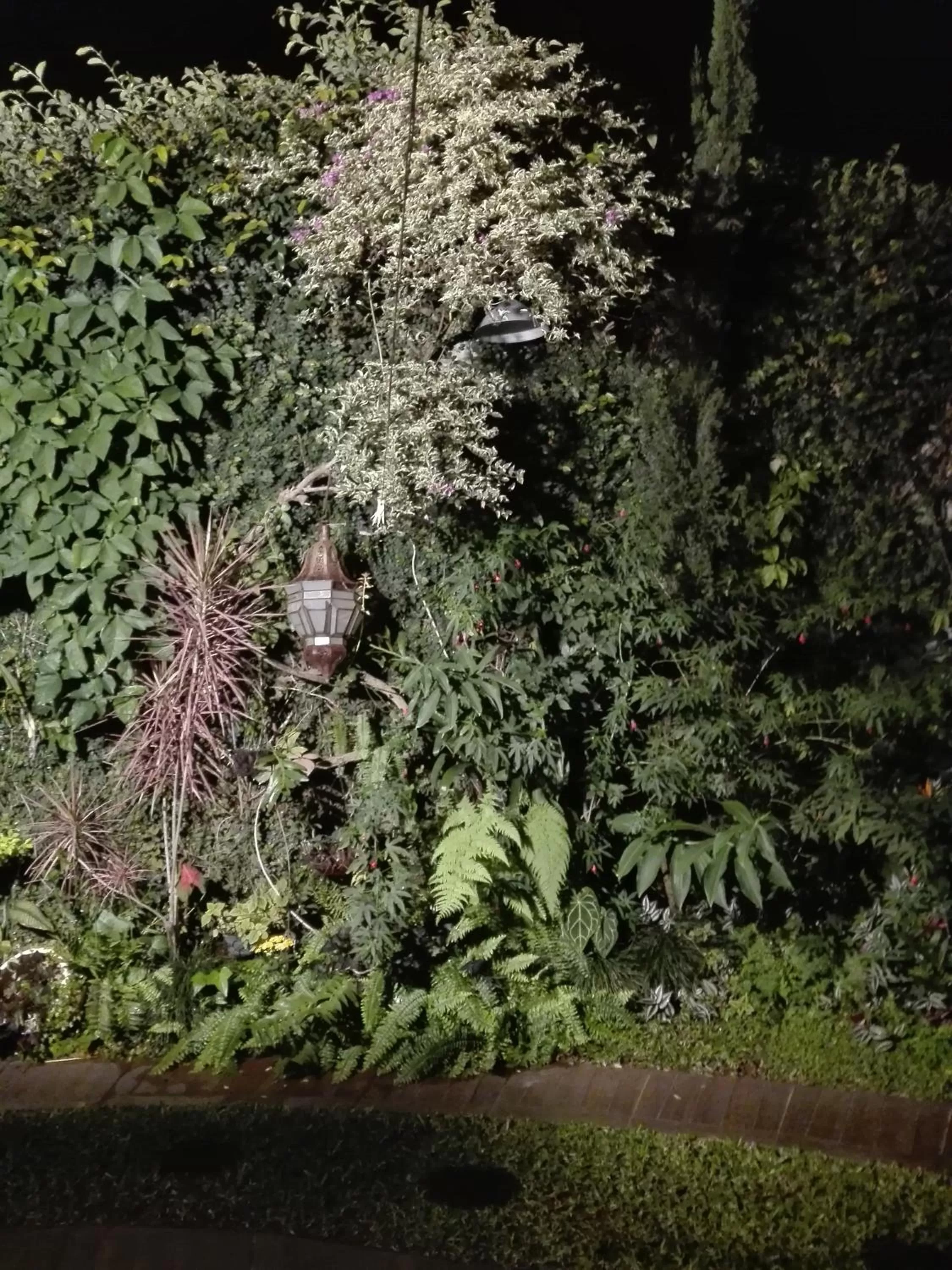 Natural landscape in Granados B&B