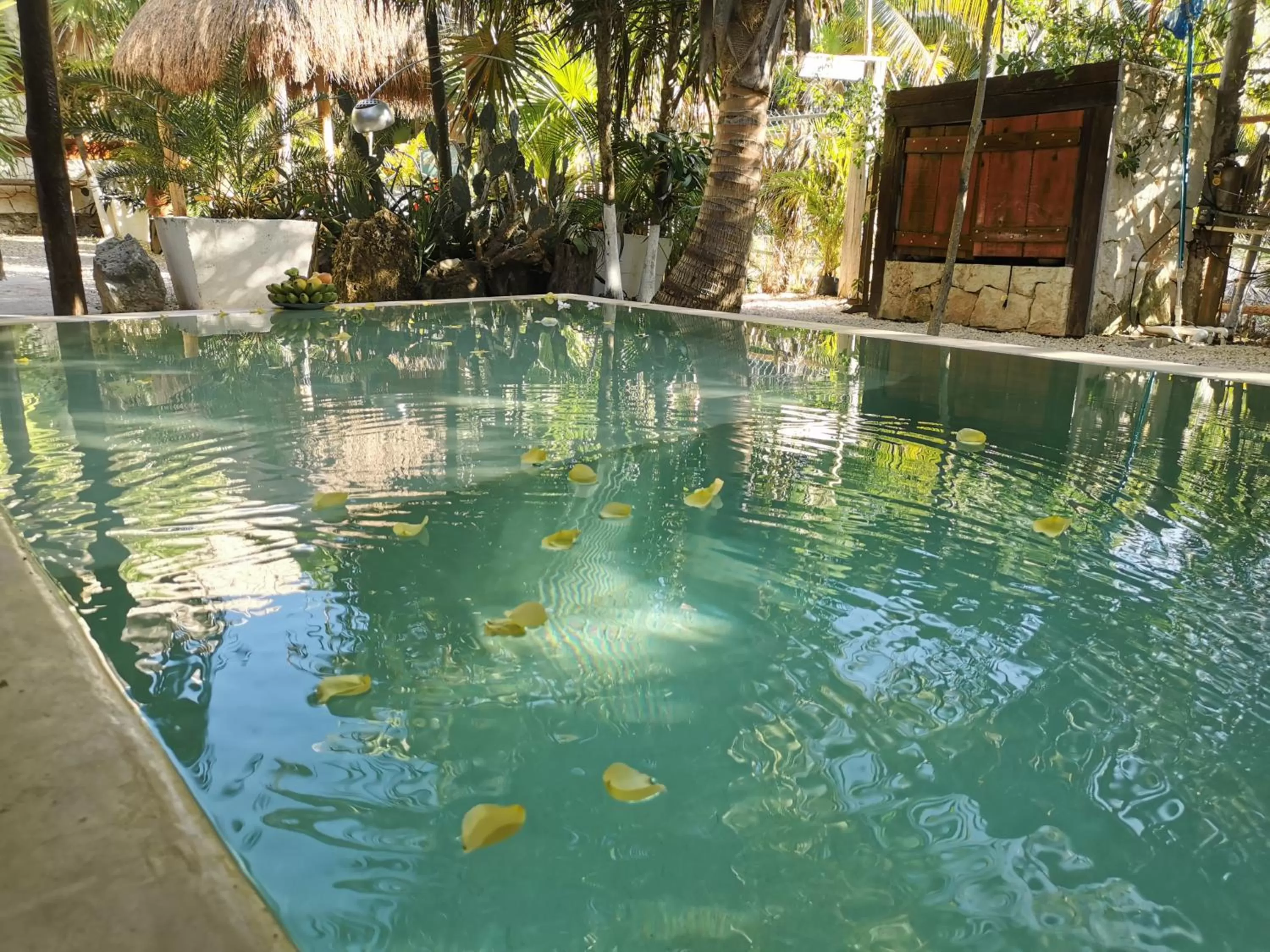 Swimming pool in Suites Tulum