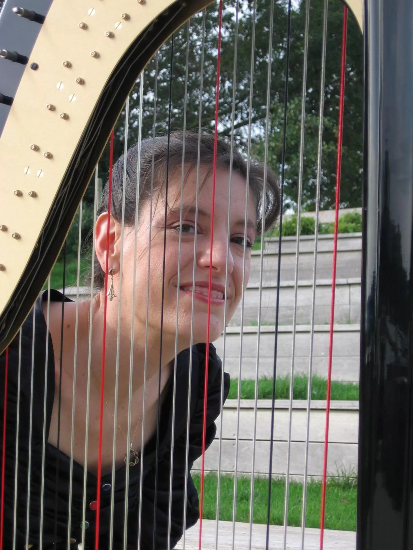 Entertainment in La chambre du harpiste