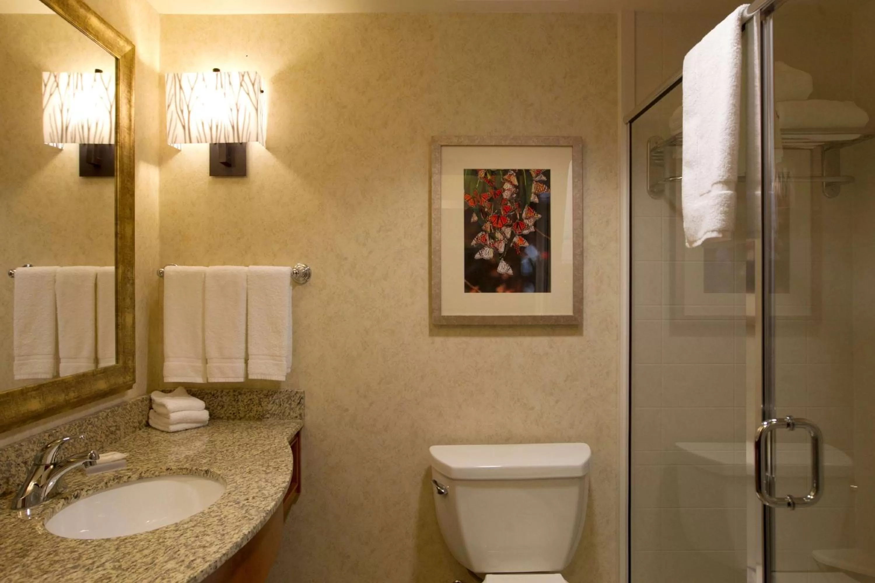 Bathroom in Hilton Garden Inn Cedar Falls Conference Center