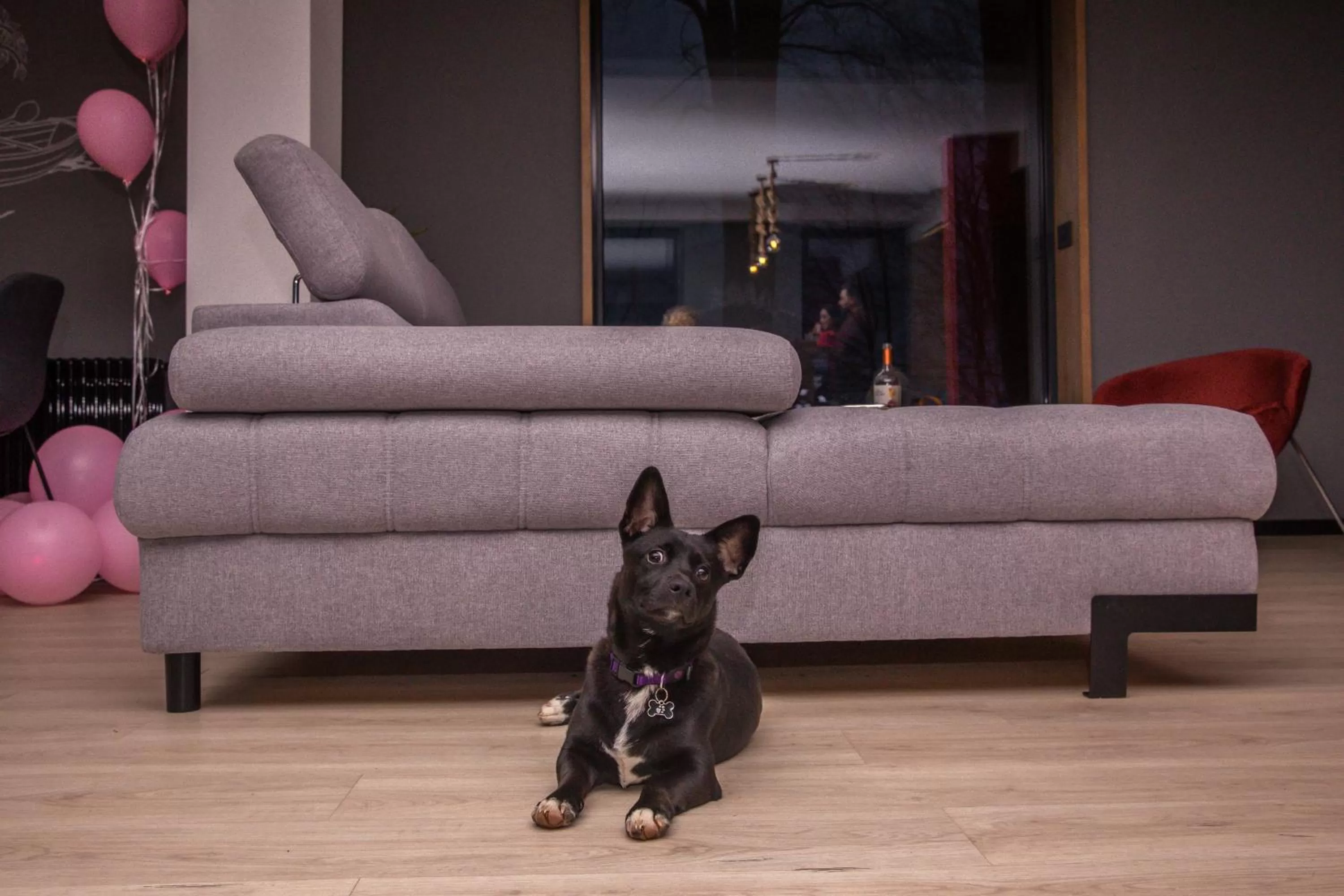 Pets in Adventure Lake Resort - Simared