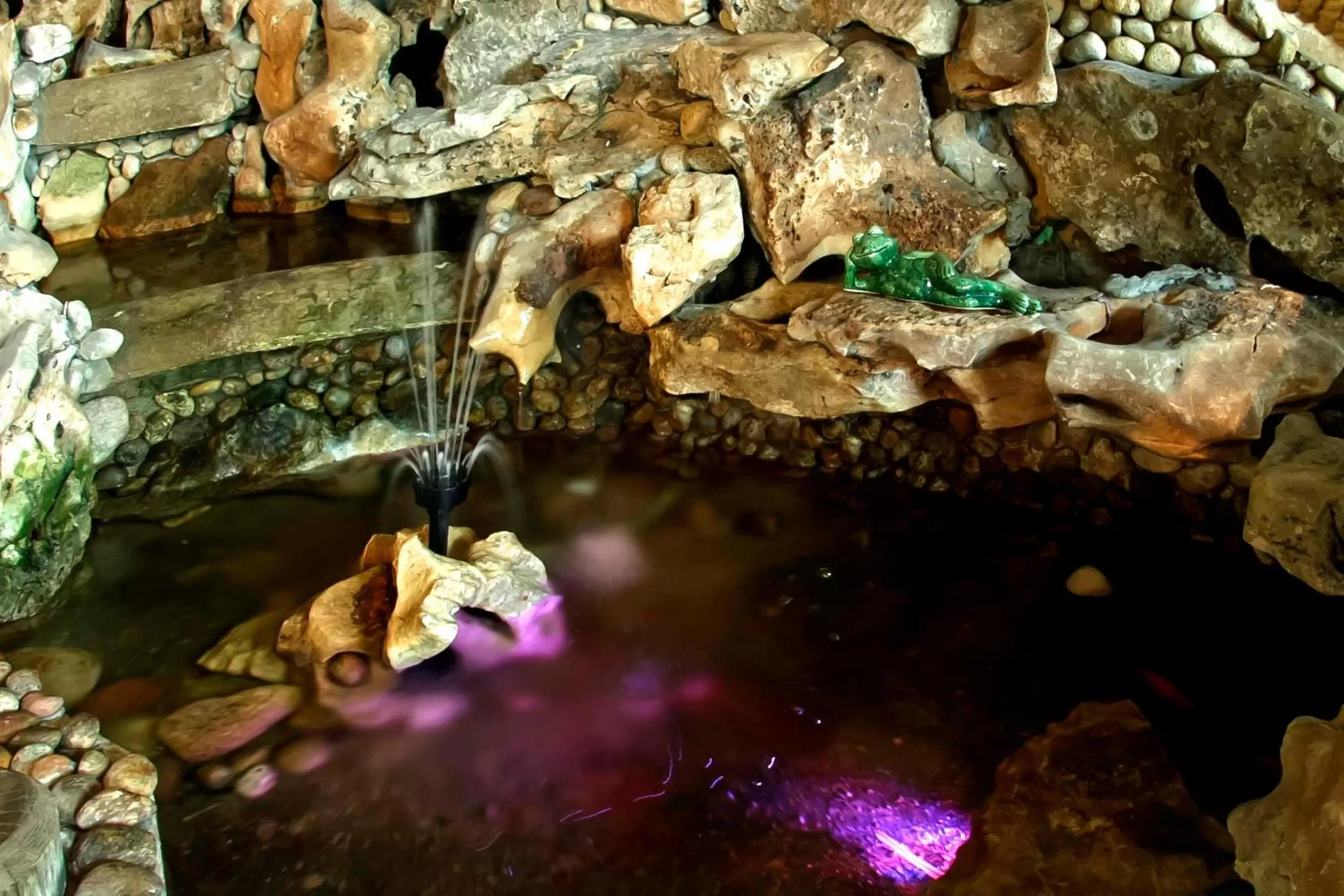 Lobby or reception, Other Animals in Edi Hotel