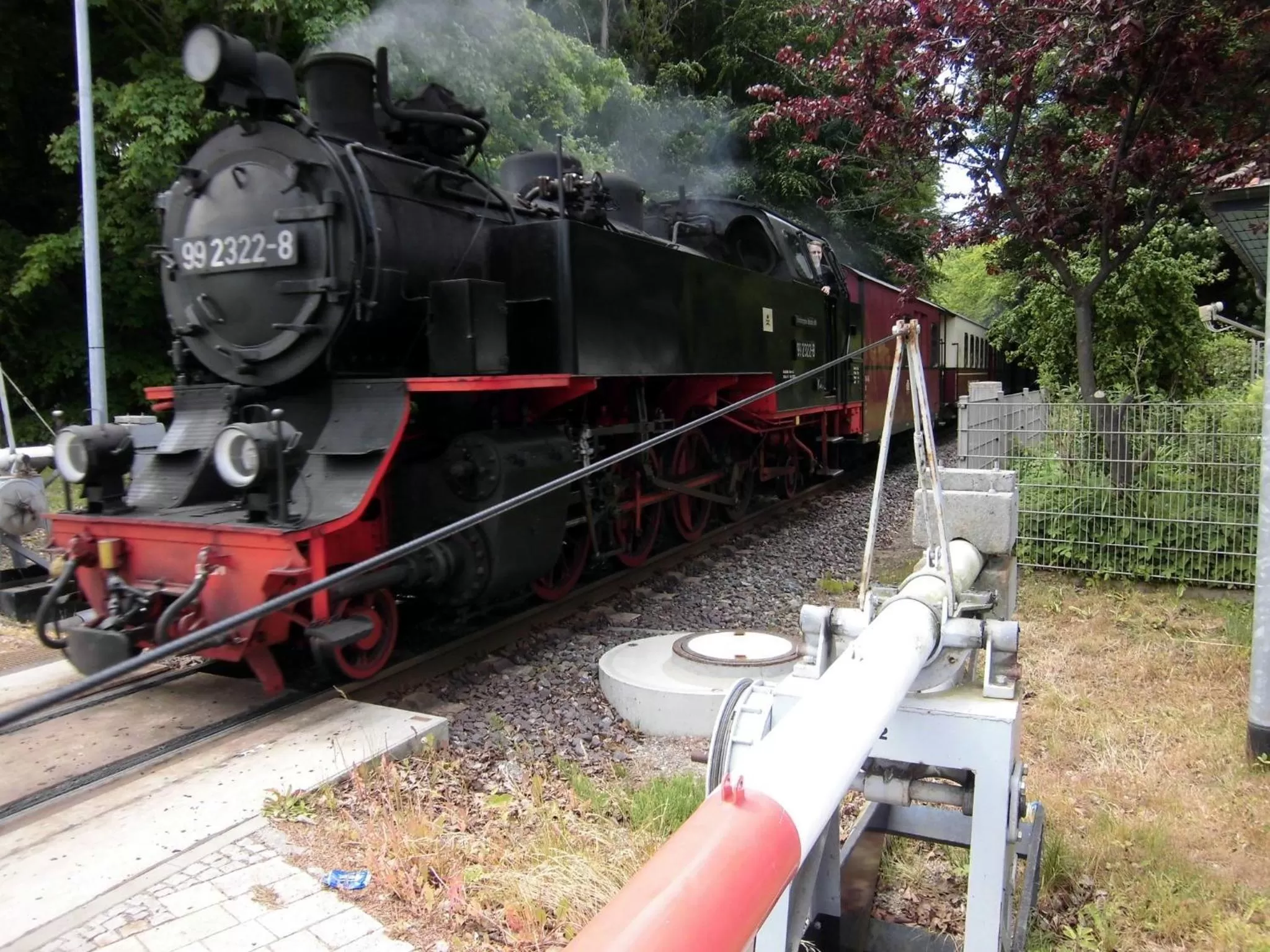 Area and facilities in Villa Astoria - Suiten am Meer