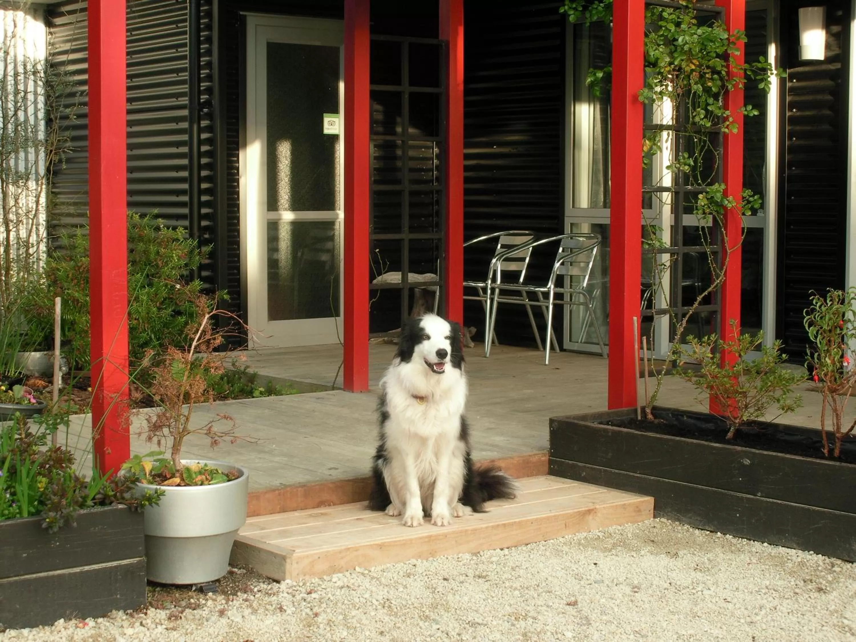 Property building, Pets in Mahinapua Retreat B&B