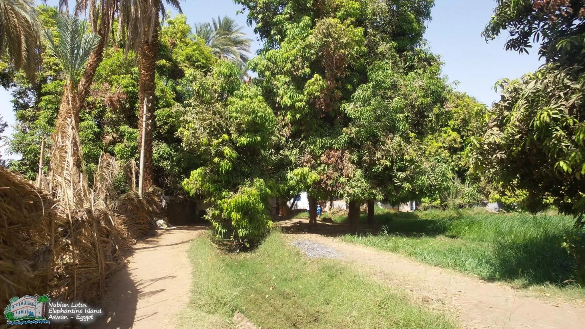 Property building, Garden in Nubian Lotus