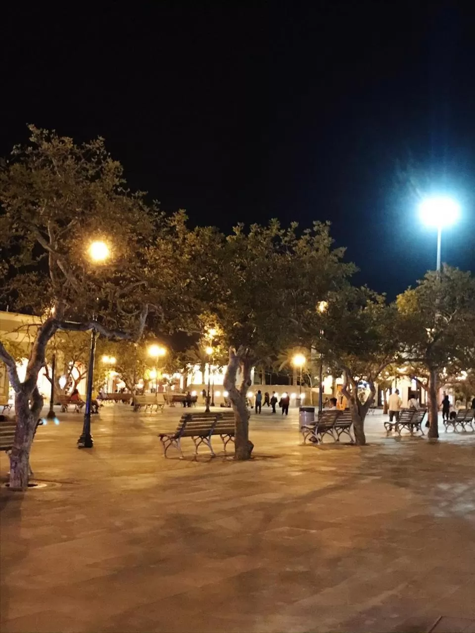 Nearby landmark in Hotel Posada Señor Mañana