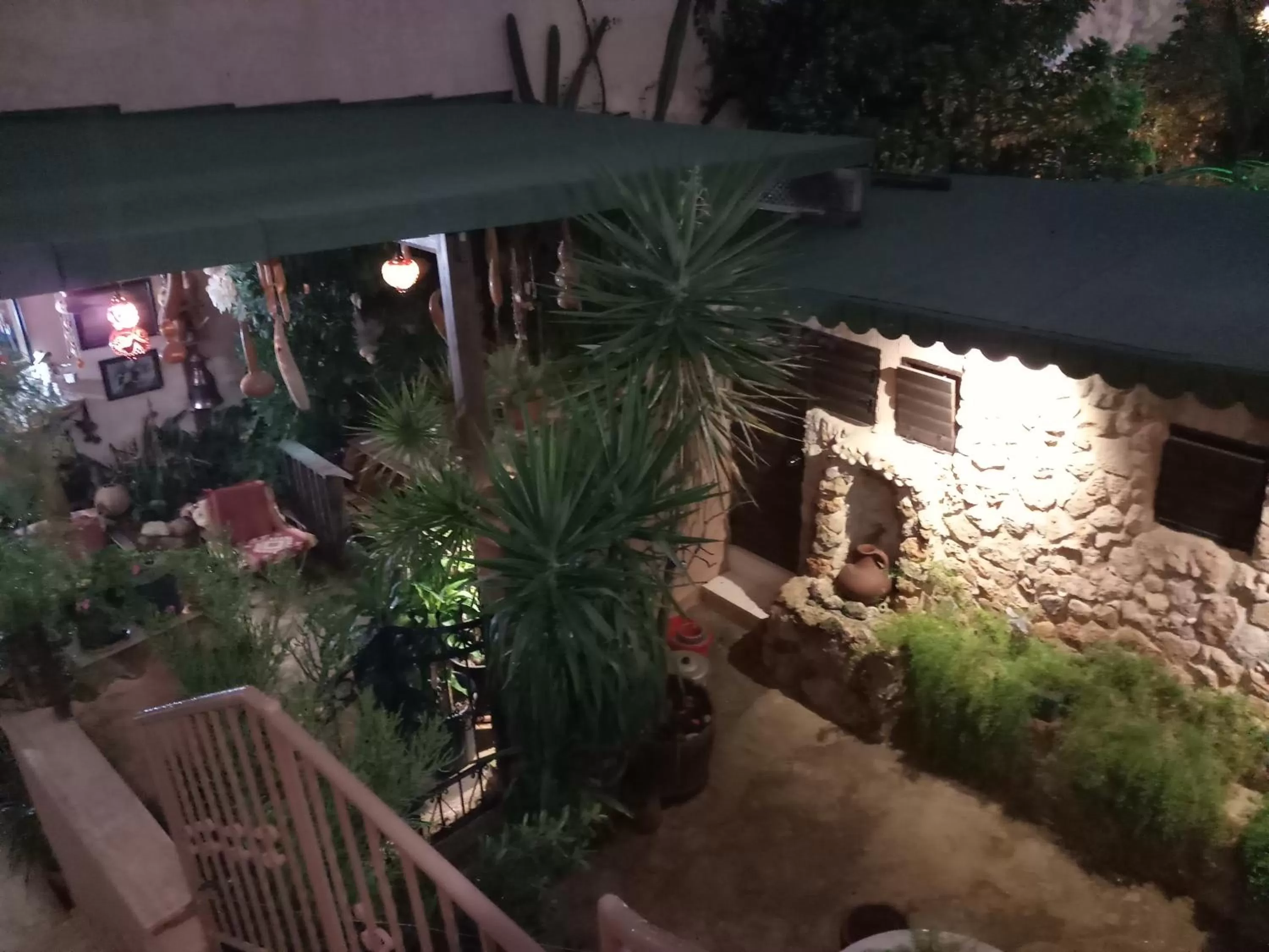 Garden in Mystery Garden Guest House