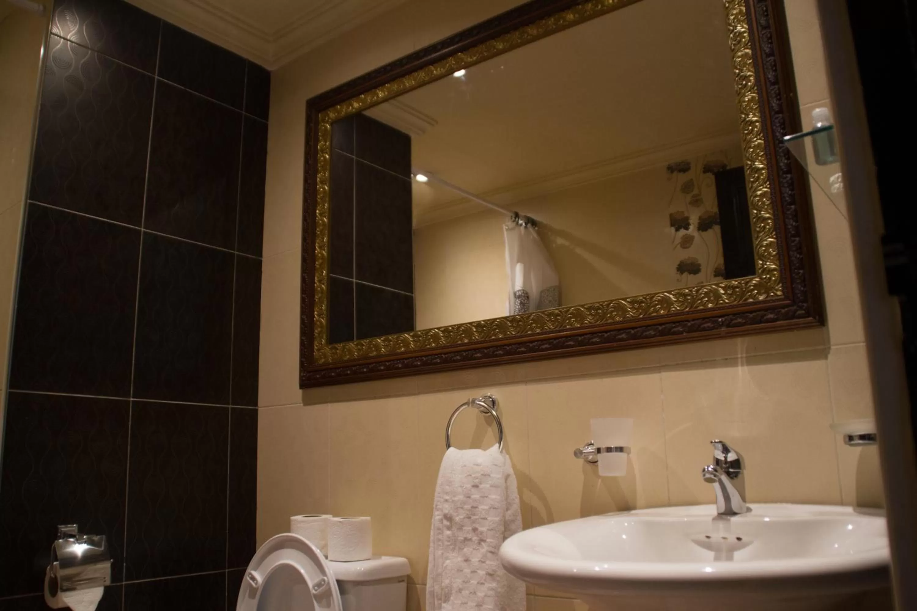 Bathroom in Apparts-hôtel ISNI