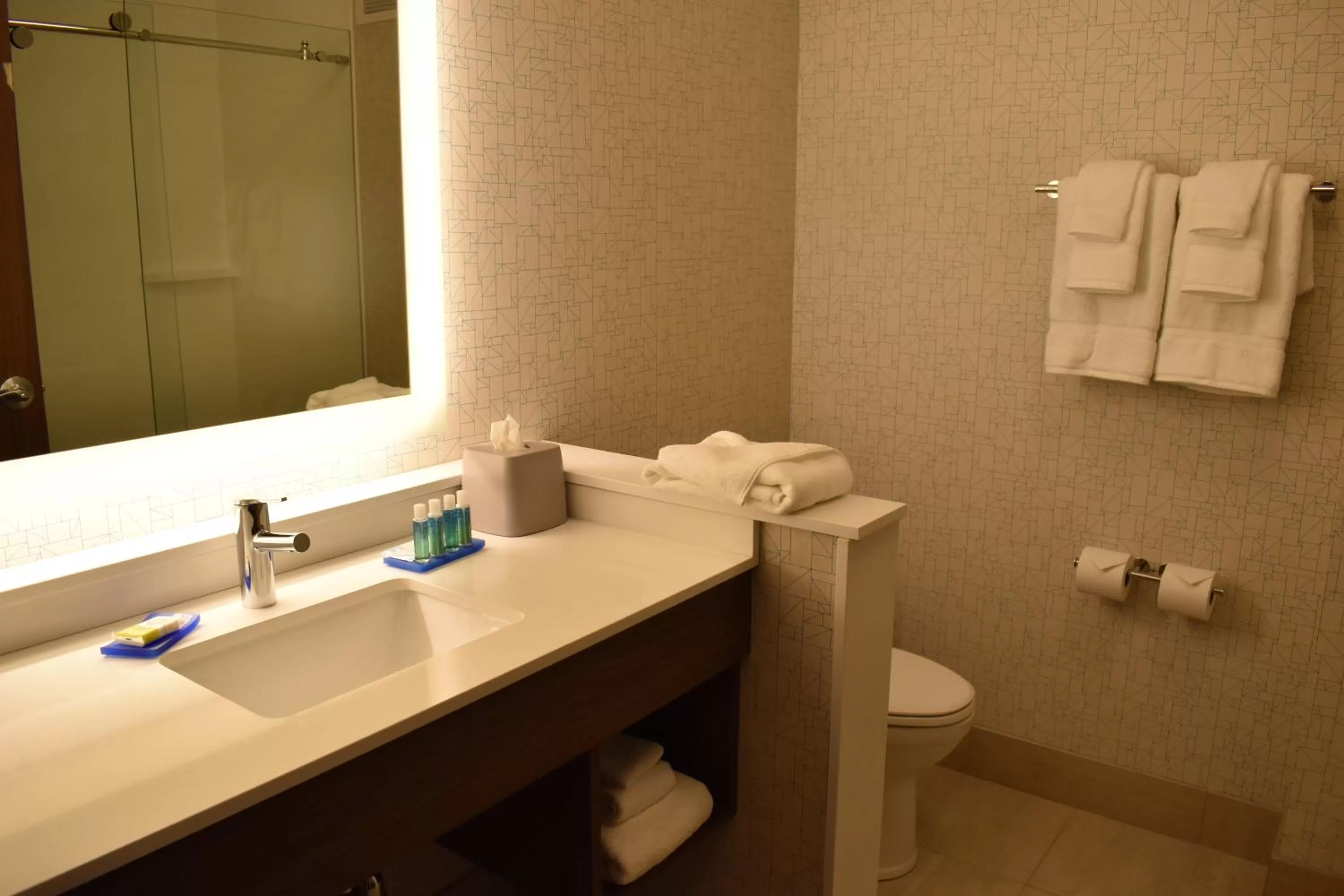 Bathroom in Holiday Inn Express & Suites - Boston South - Randolph by IHG