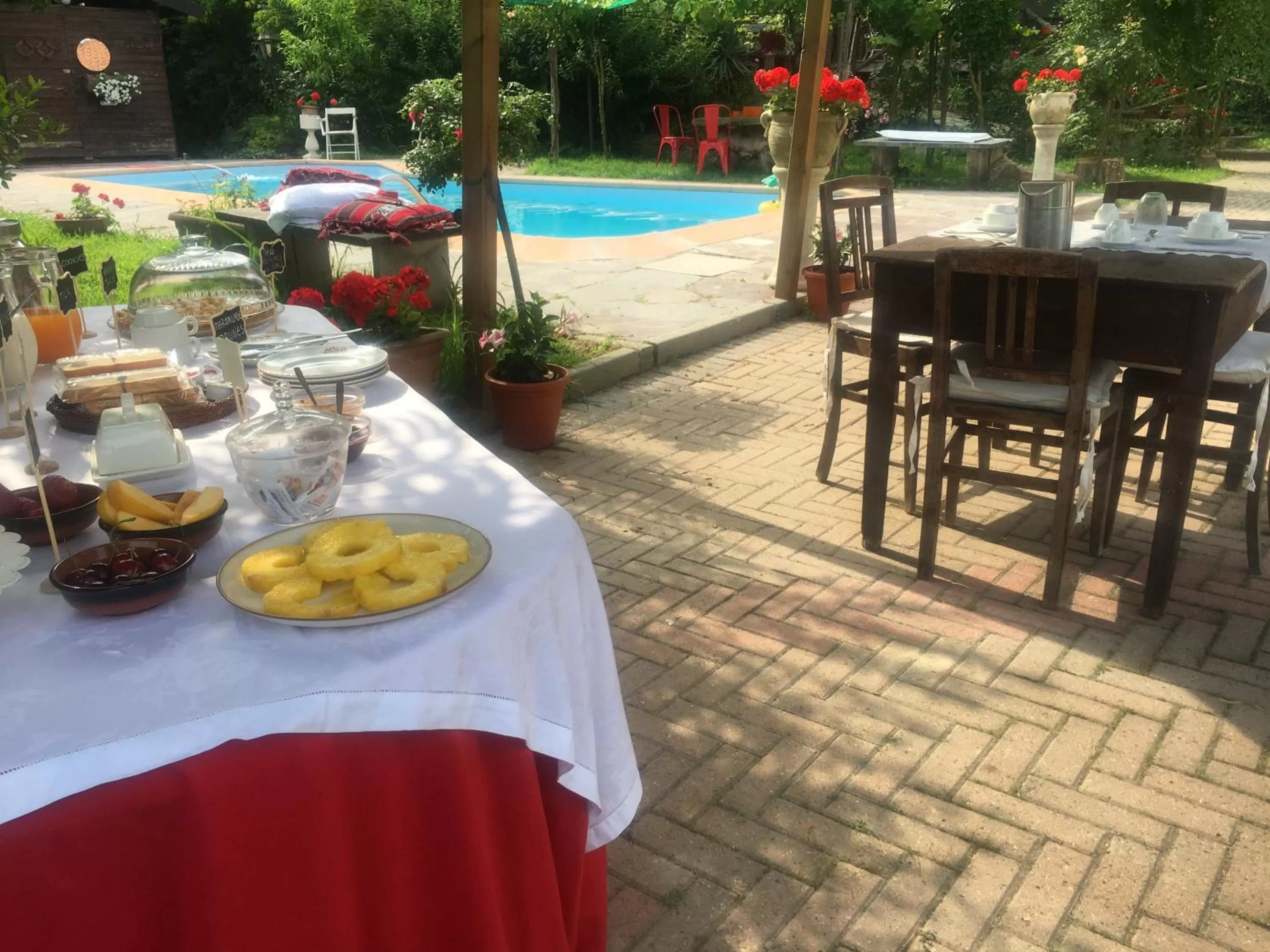 Rossella alla Villarella dei Tulipani