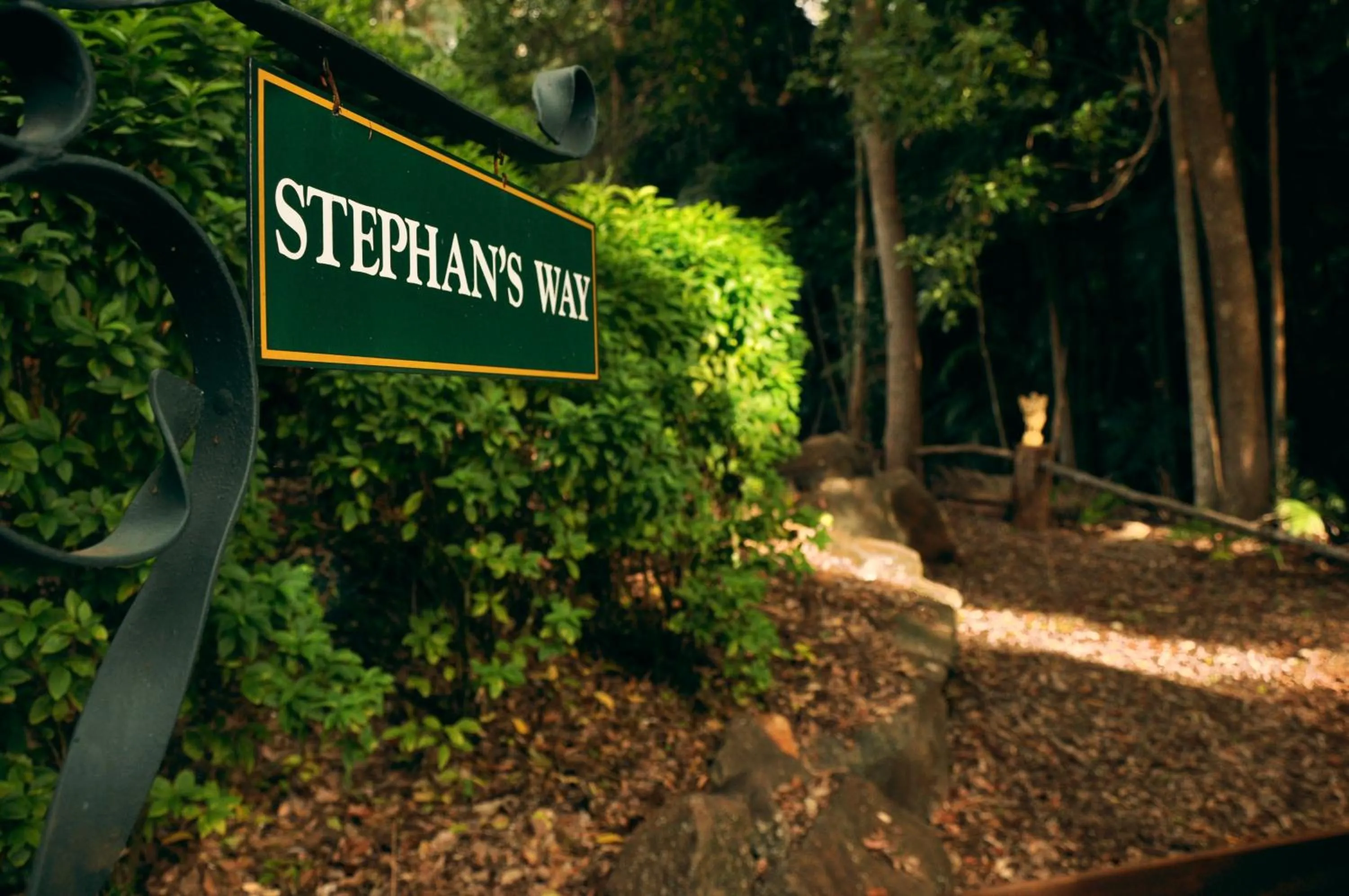 Garden in Escarpment Retreat & Day Spa for Couples