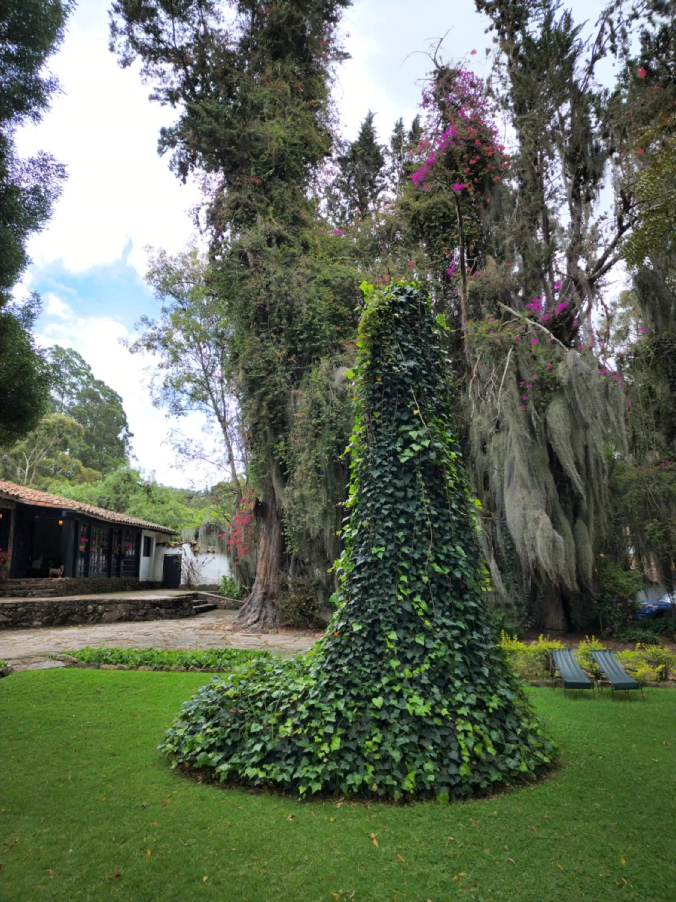 Garden in Hotel Hacienda Suescún