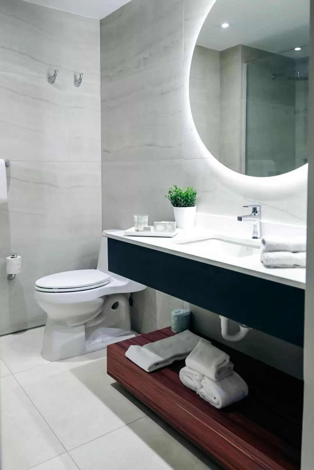 Bathroom in Ponce Plaza Hotel & Casino