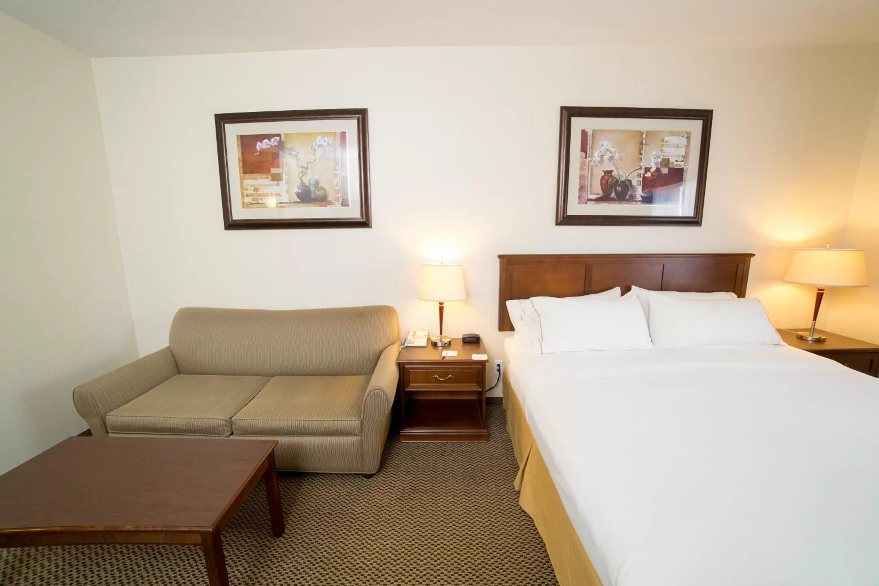 King Suite in Holiday Inn Express & Suites Drayton Valley, an IHG Hotel King Suite in Holiday Inn Express & Suites Drayton Valley, an IHG Hotel