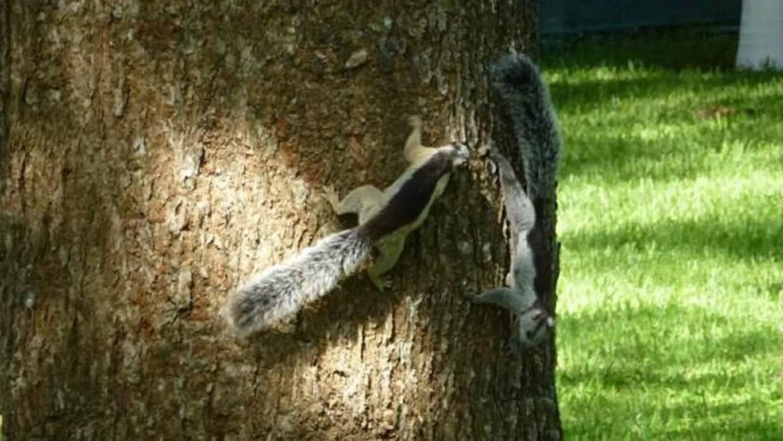 Garden in Villas Macondo