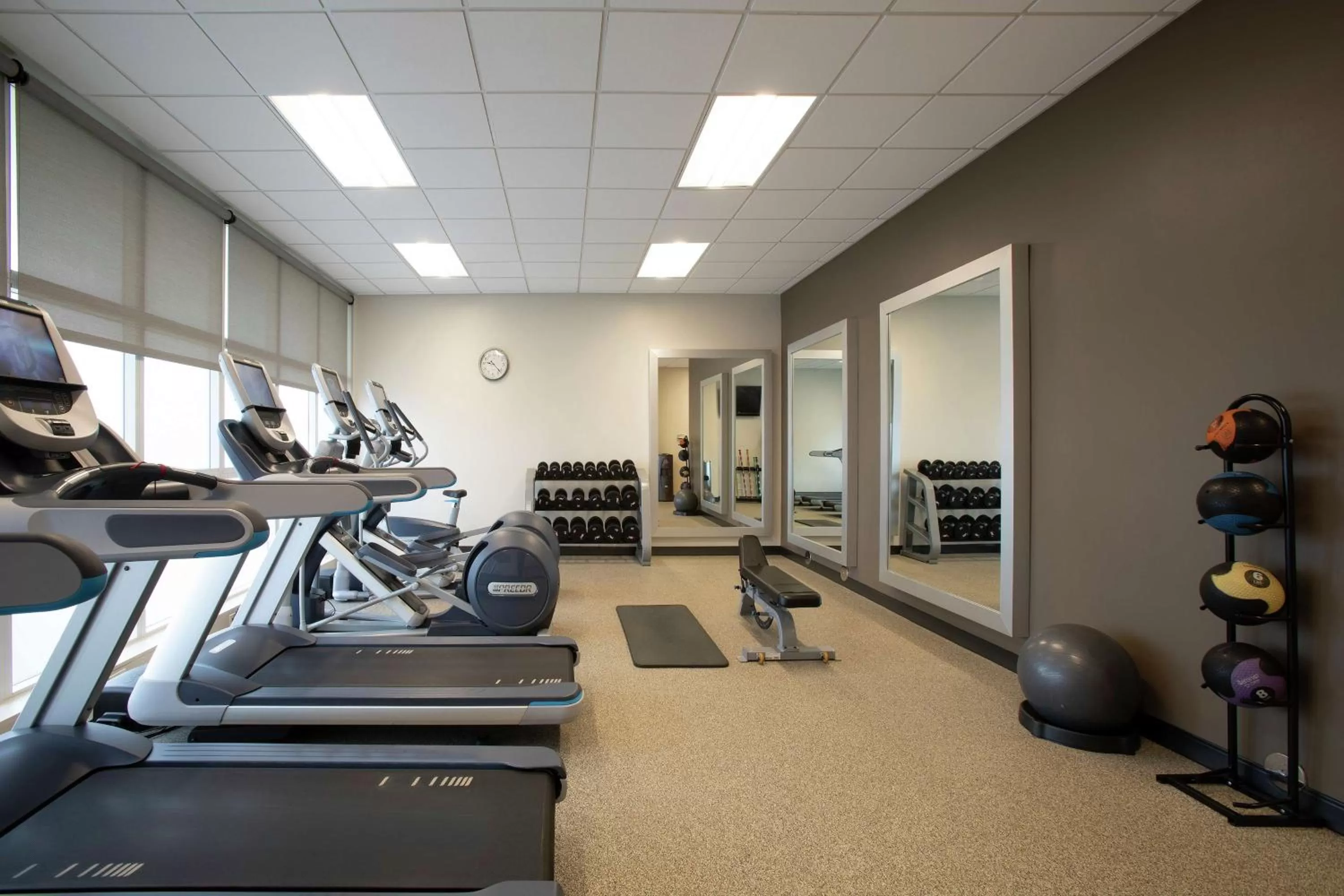 Fitness centre/facilities in Embassy Suites by Hilton Orlando Airport
