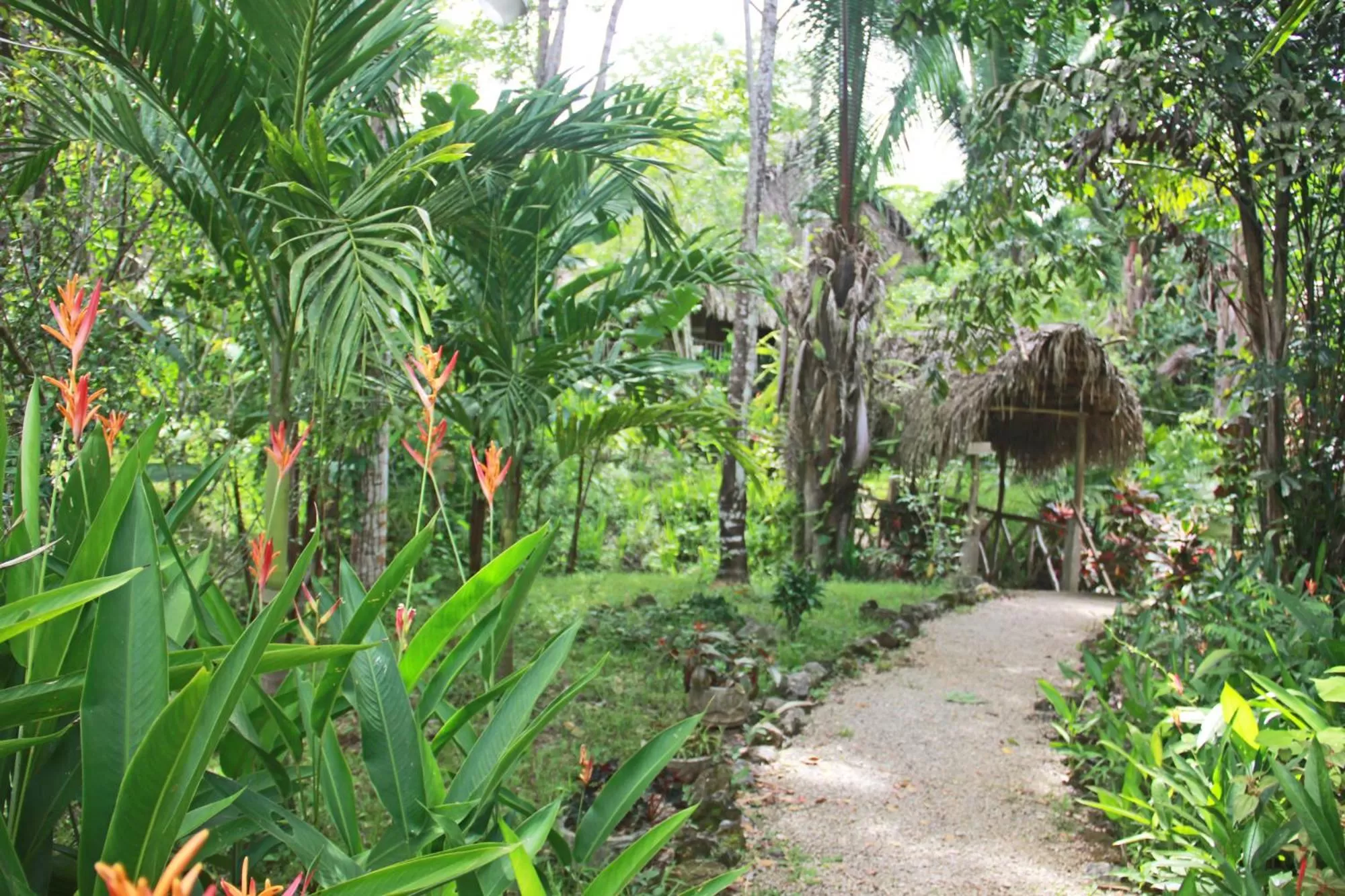 On site, Garden in Sun Creek Lodge