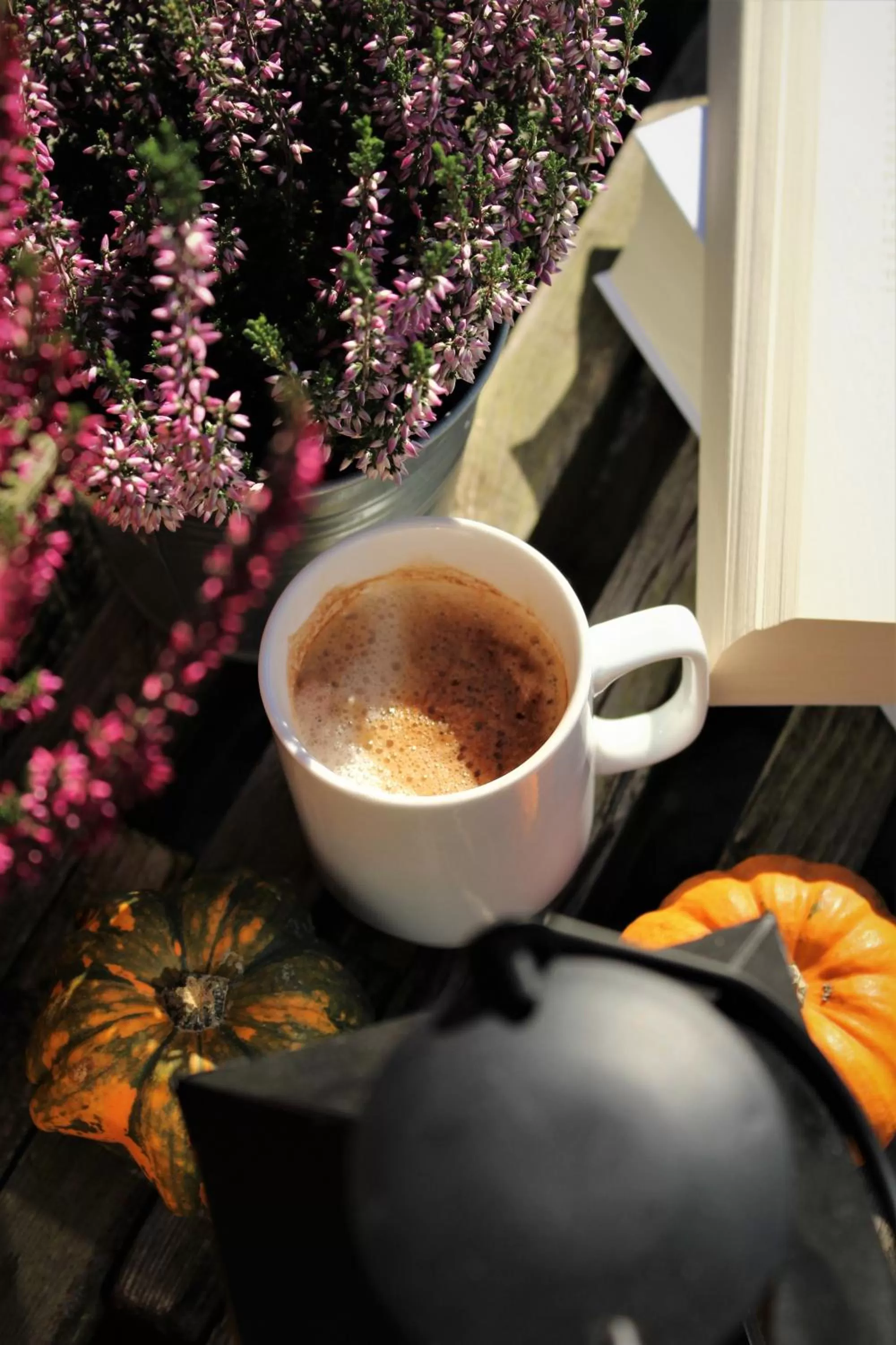 Garden in Hotel Lisboa