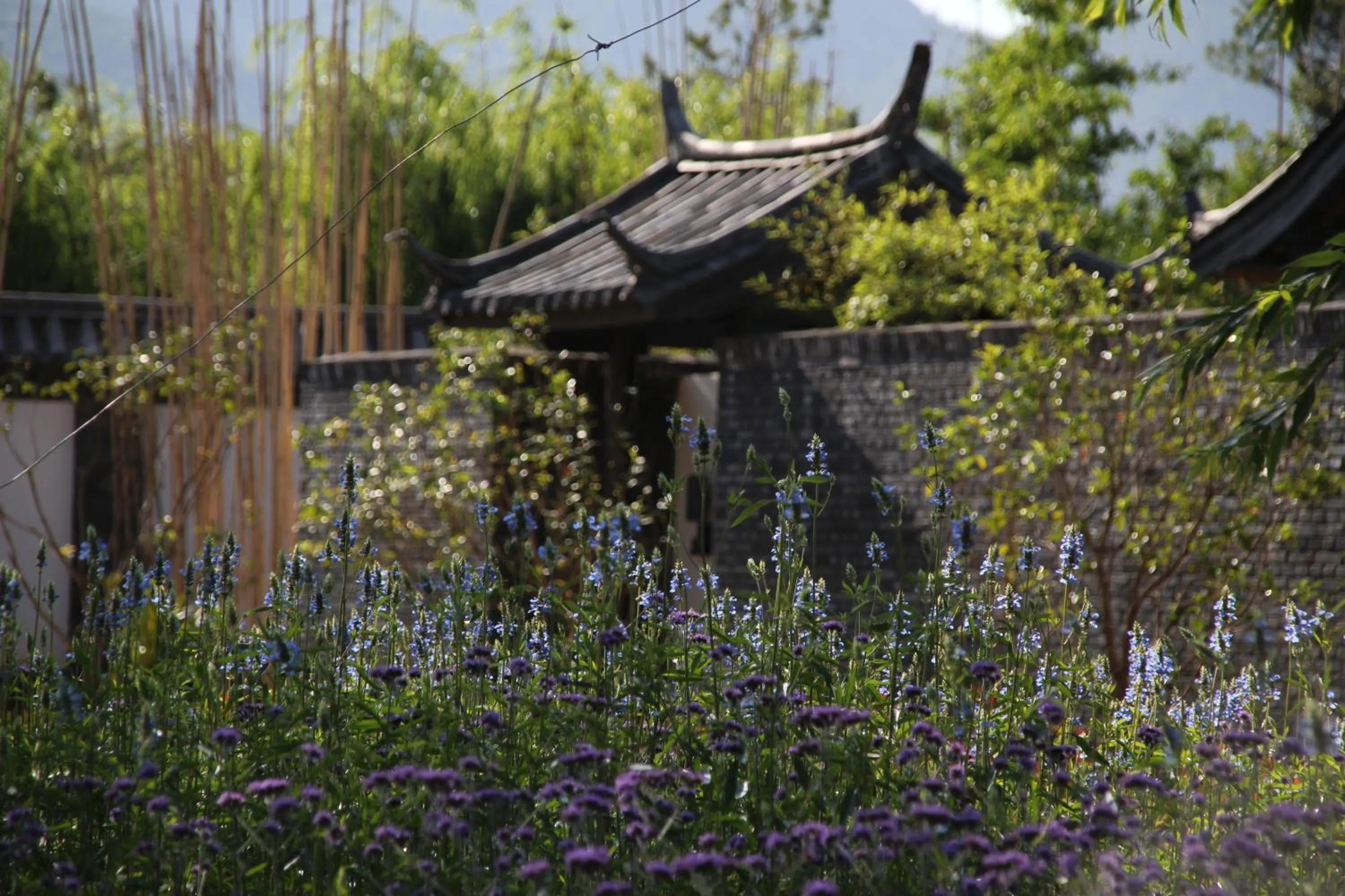 Garden view in Pullman Lijiang Resort & Spa