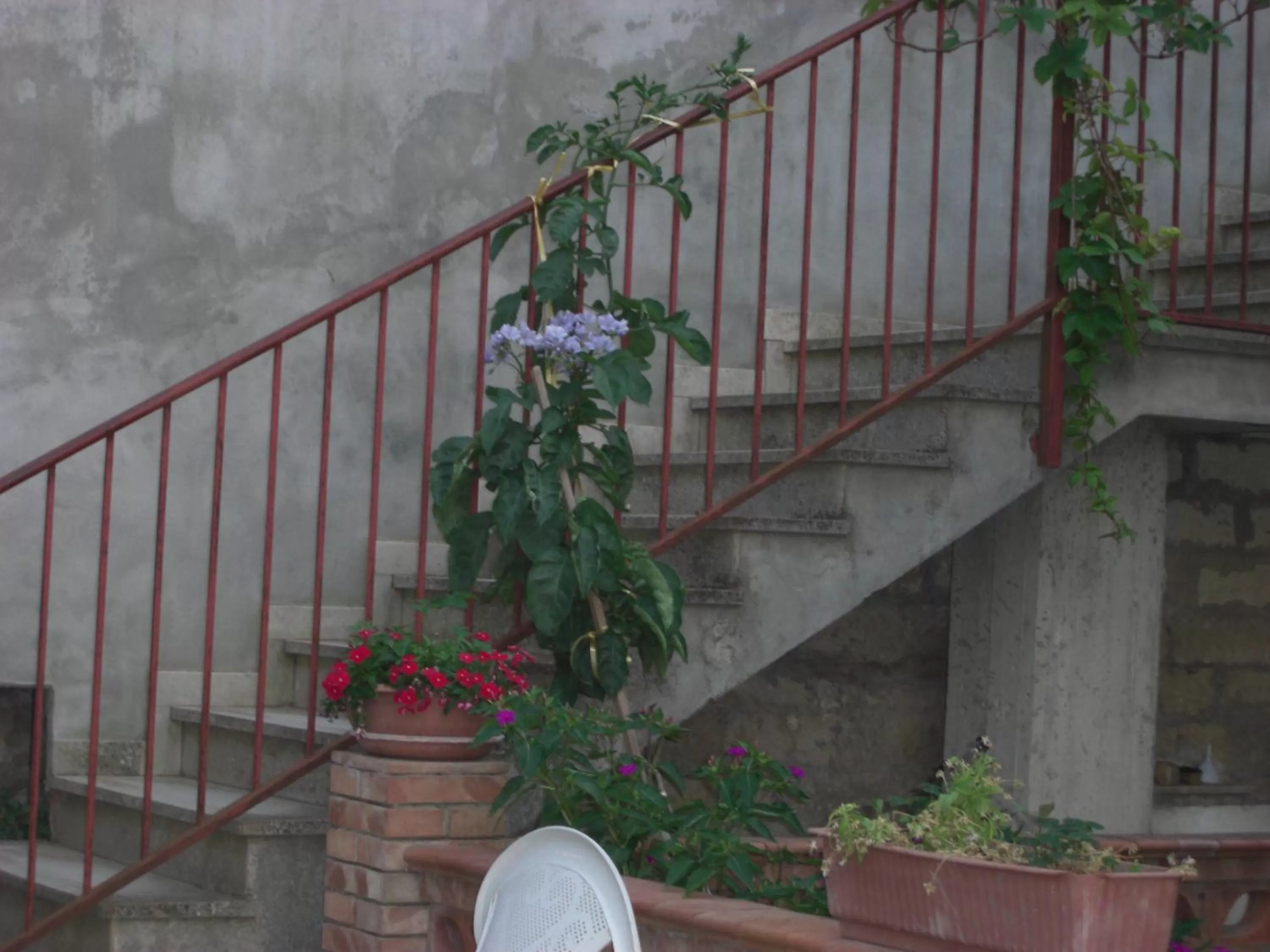 Facade/entrance in Albergo Villa Nobile