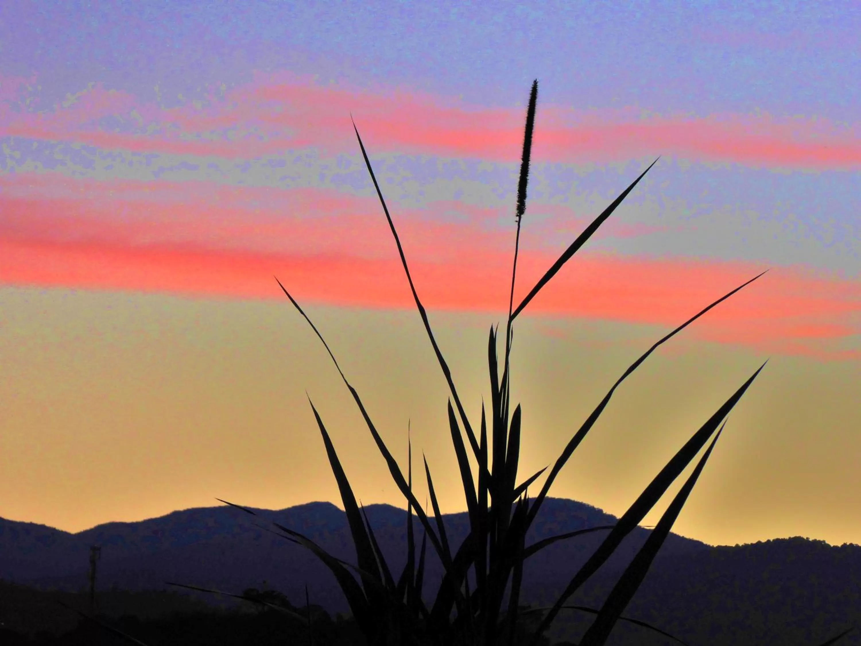 Garden view, Sunrise/Sunset in Finca El Cielo