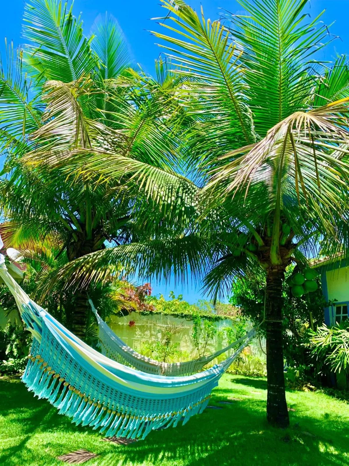 Garden in Pousada Manaaki