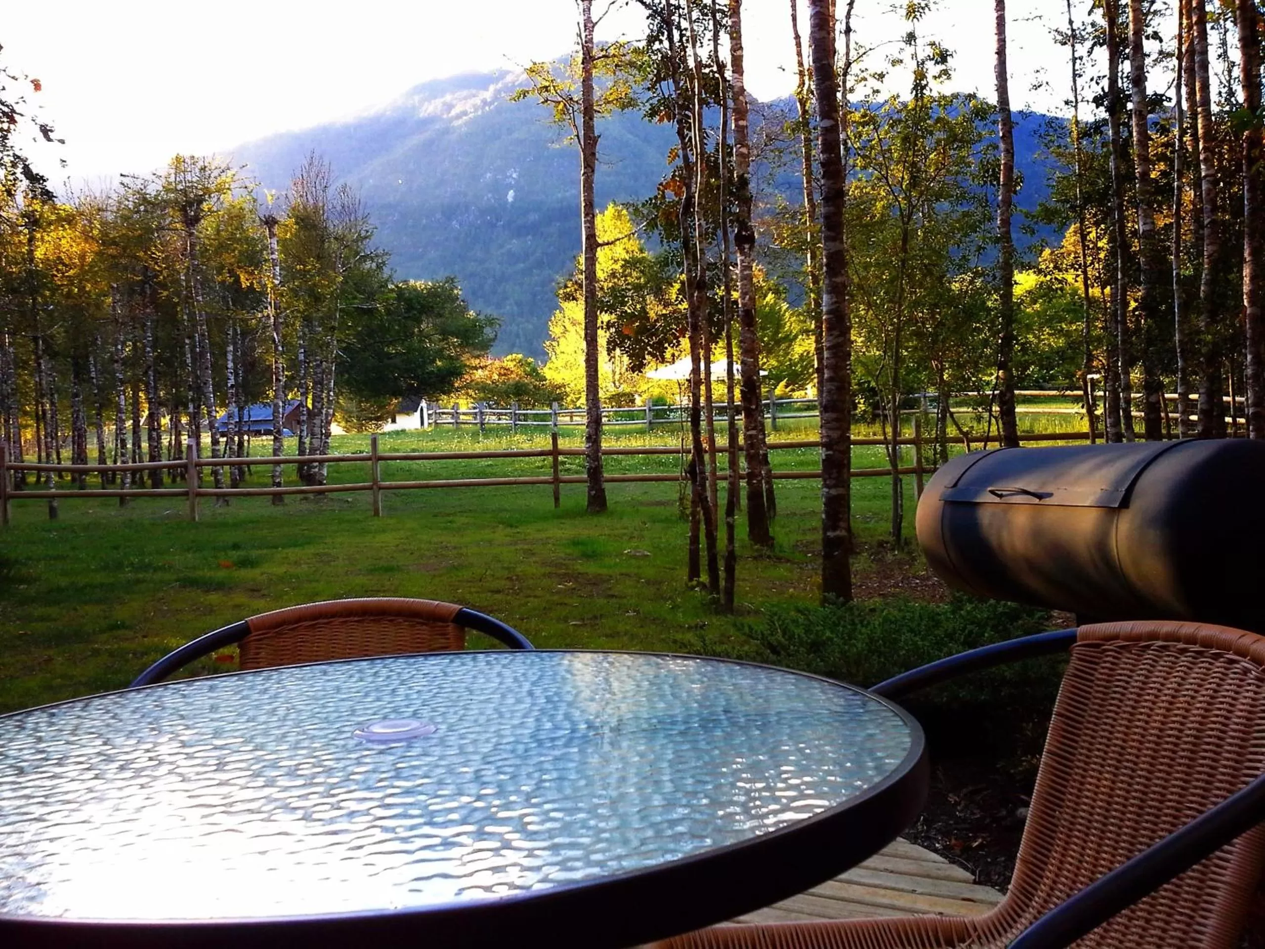 Garden in Hotel Salto del Carileufu