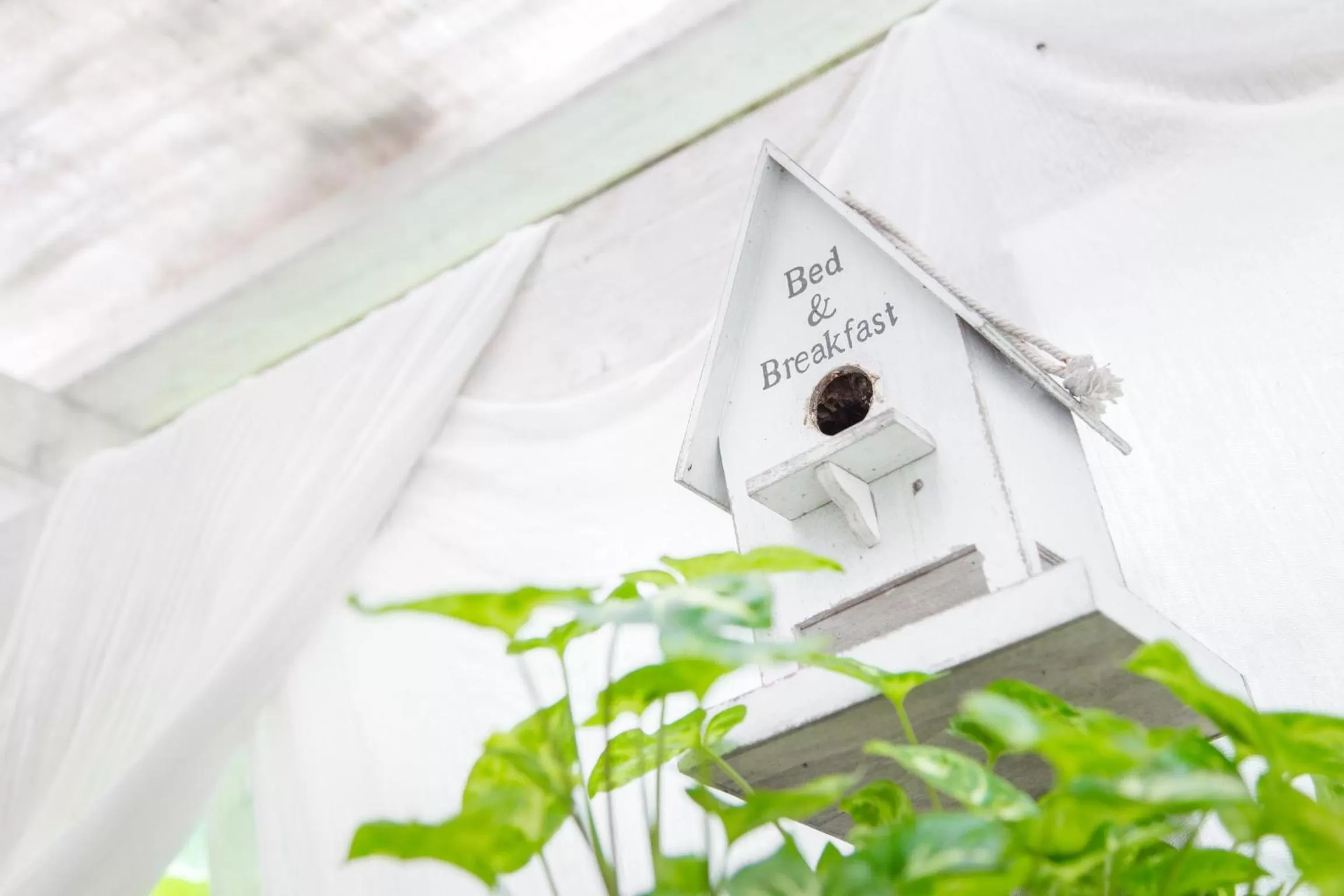 Decorative detail in Casa Matilde