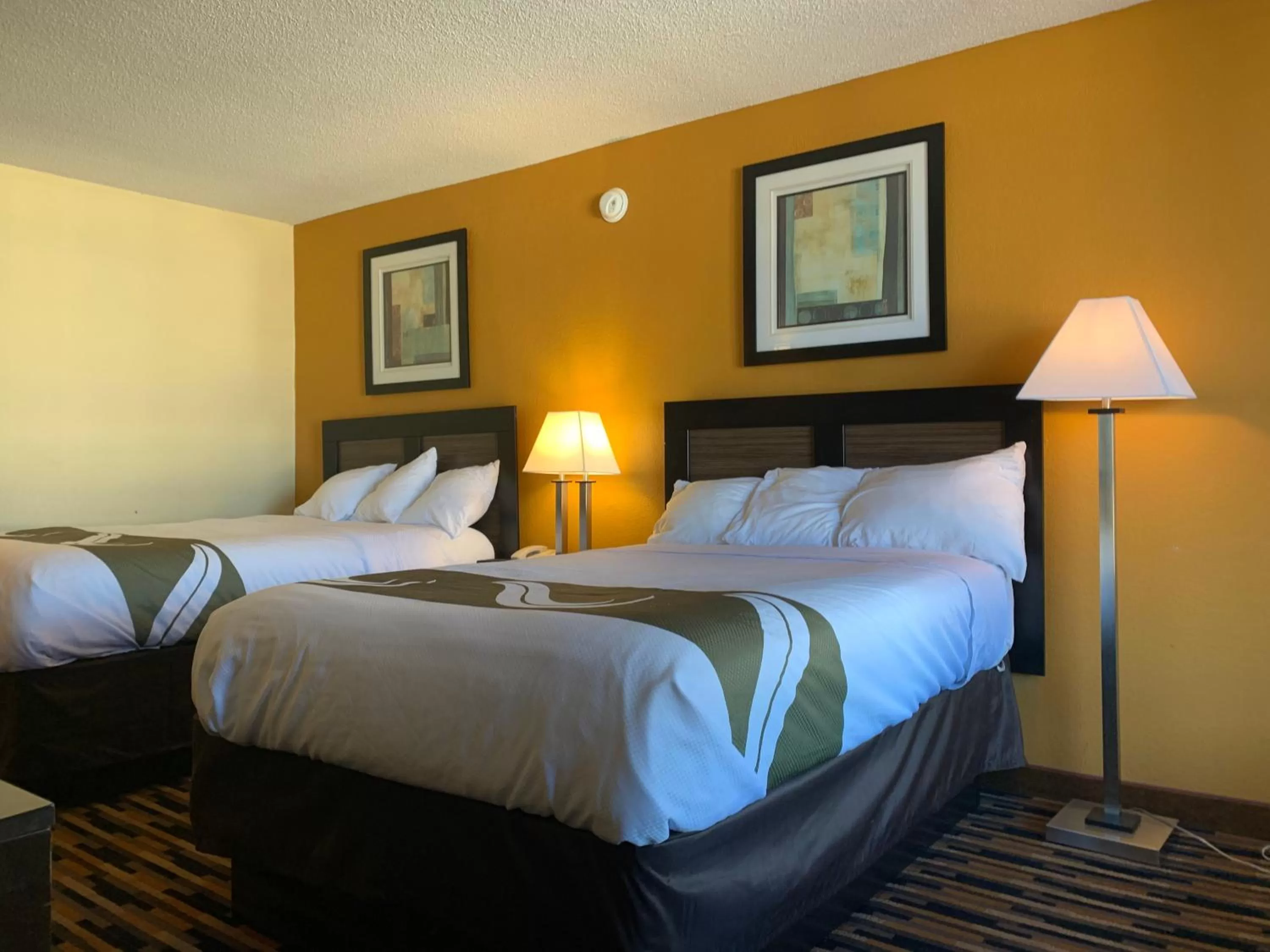 Photo of the whole room, Bed in Quality Inn University Area