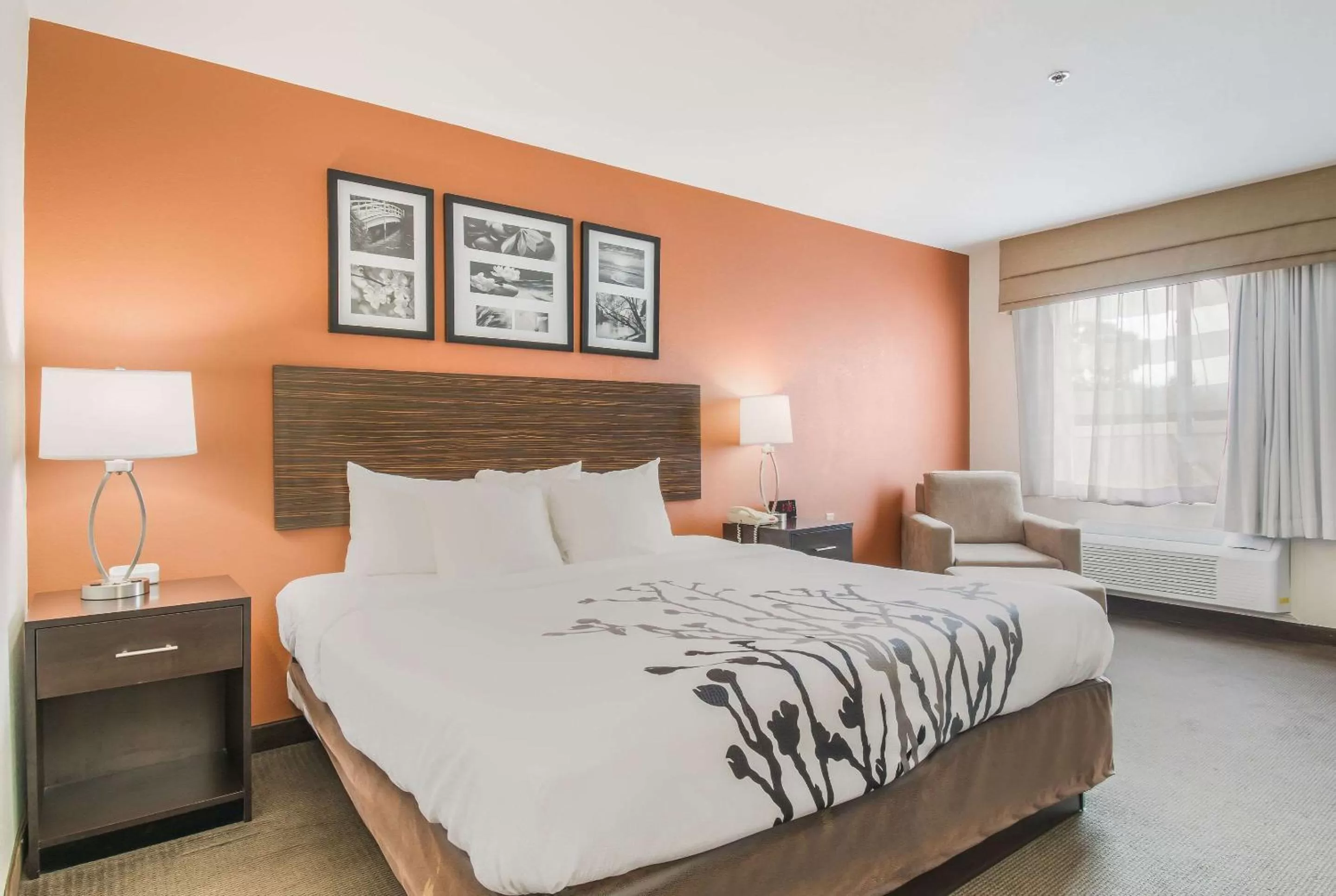 Bedroom in Sleep Inn & Suites Ronks