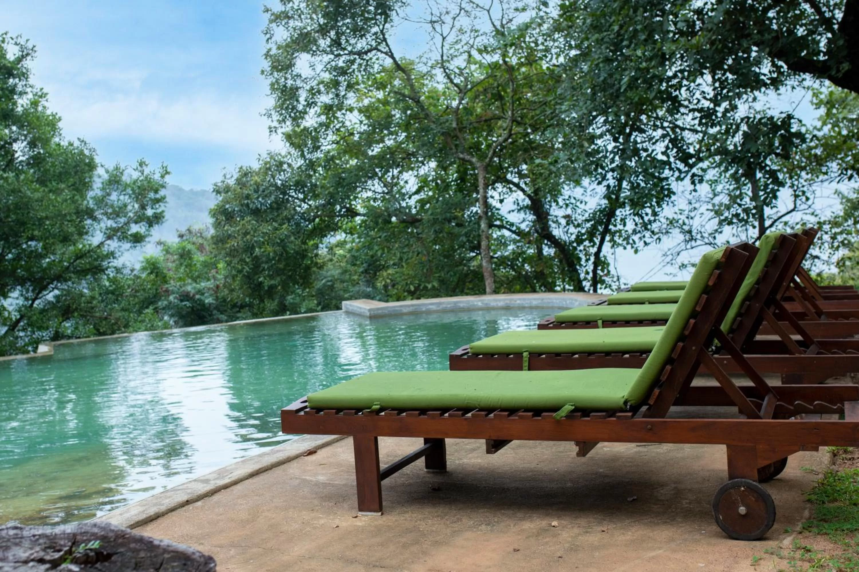 Pool view in Birds Park Polgahawela