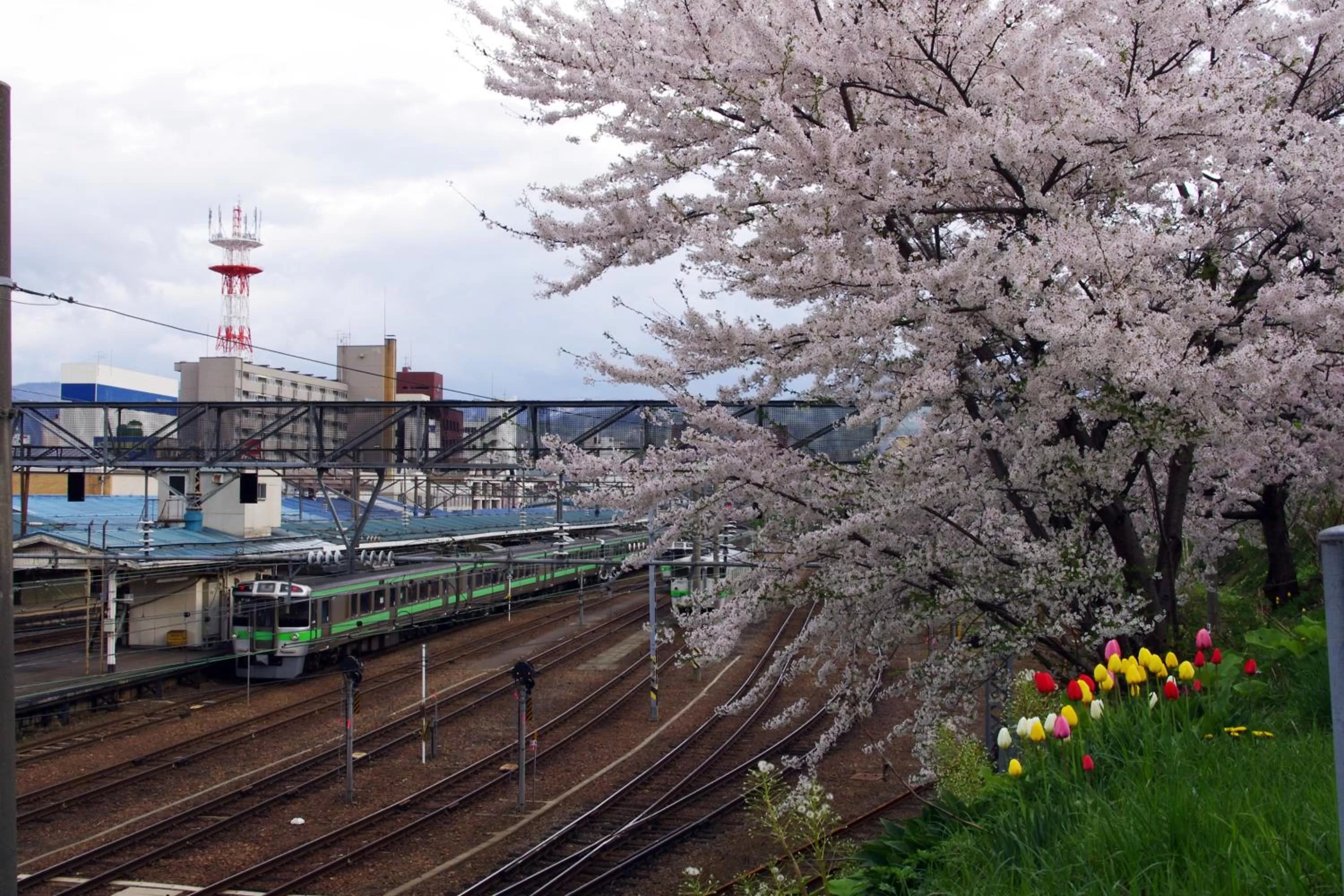 Other in Hotel Nord Otaru