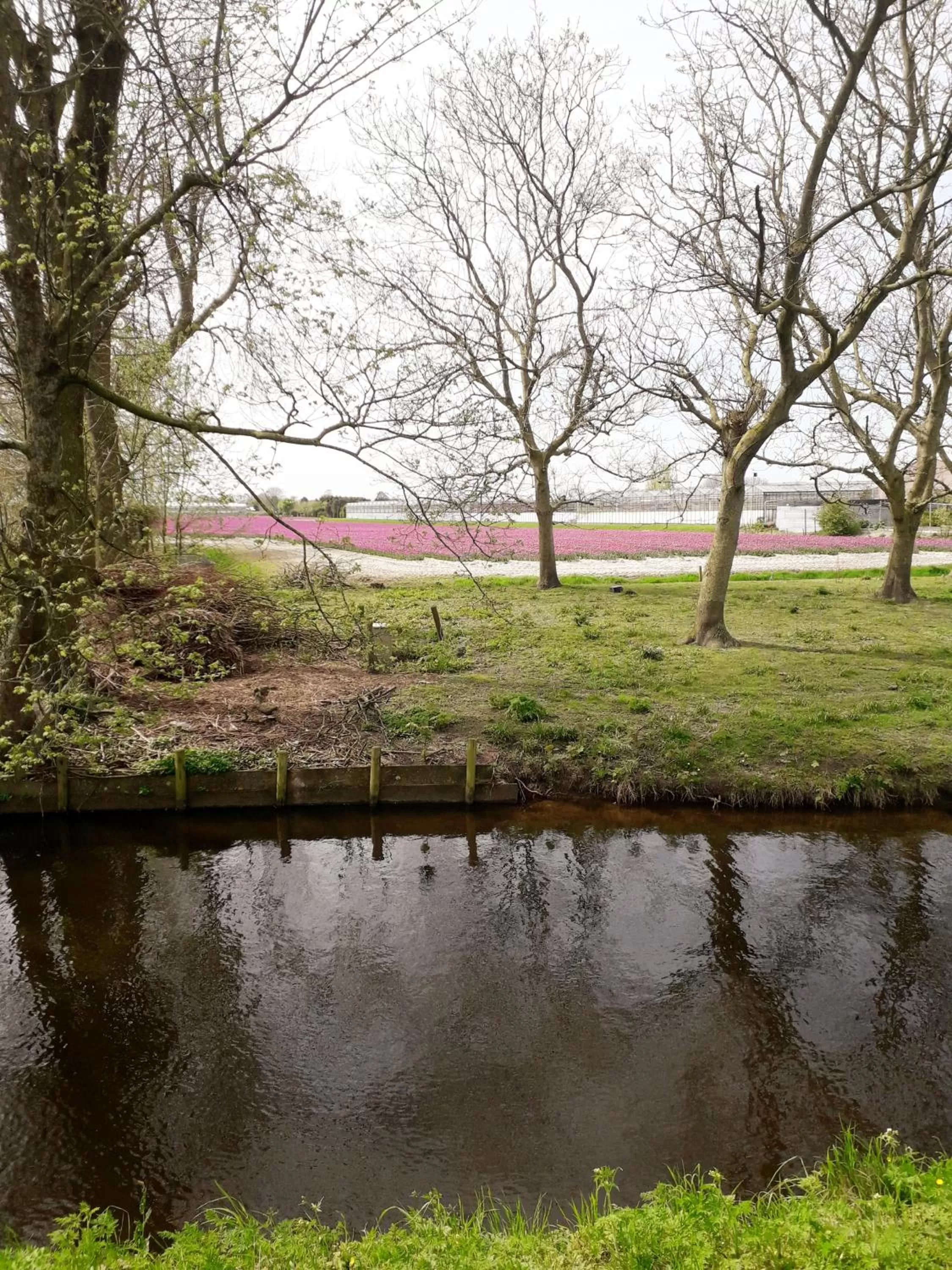 Street view in B & B De Gouwe Plek