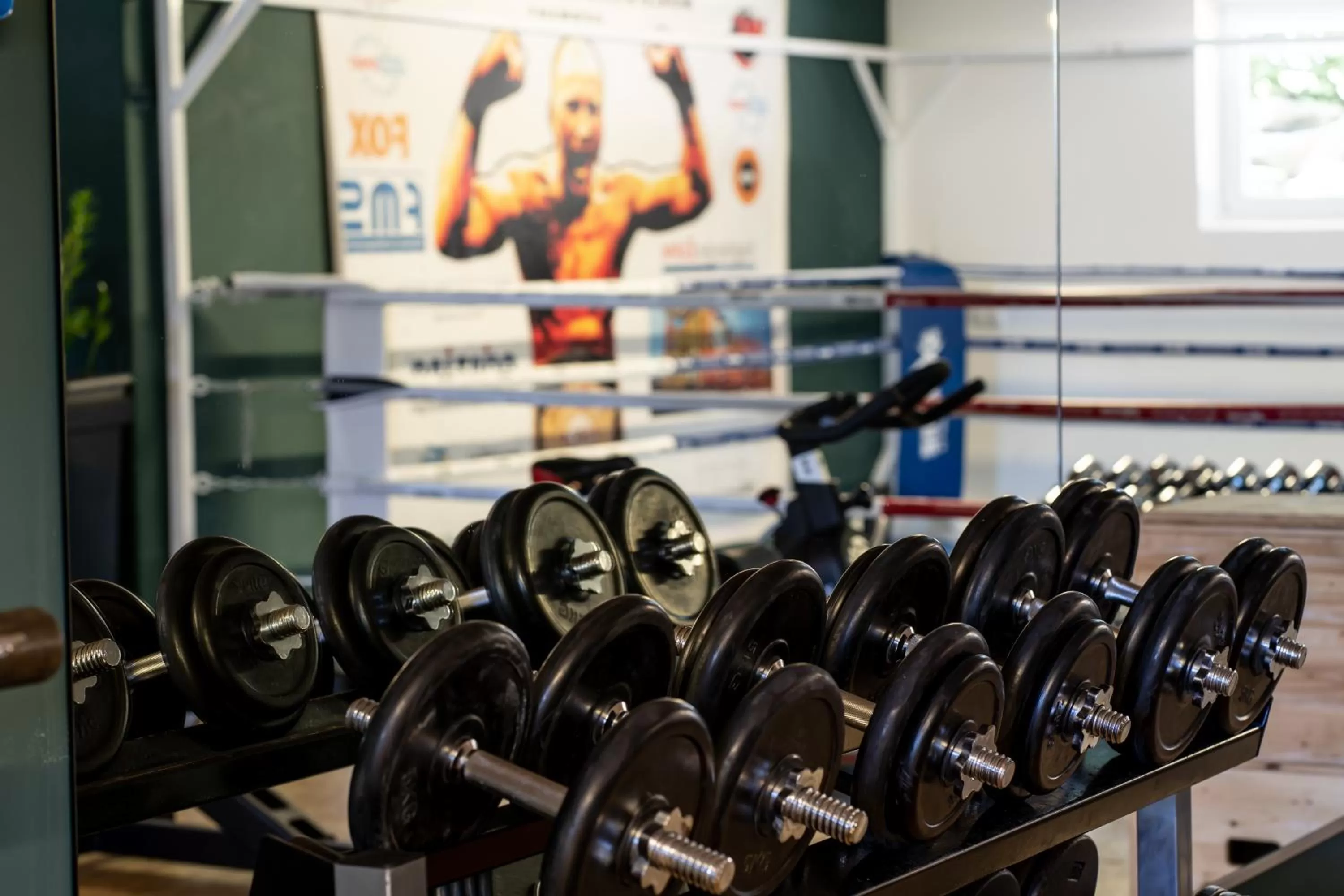 Fitness centre/facilities, Fitness Center/Facilities in Bodensee-Hotel Sonnenhof